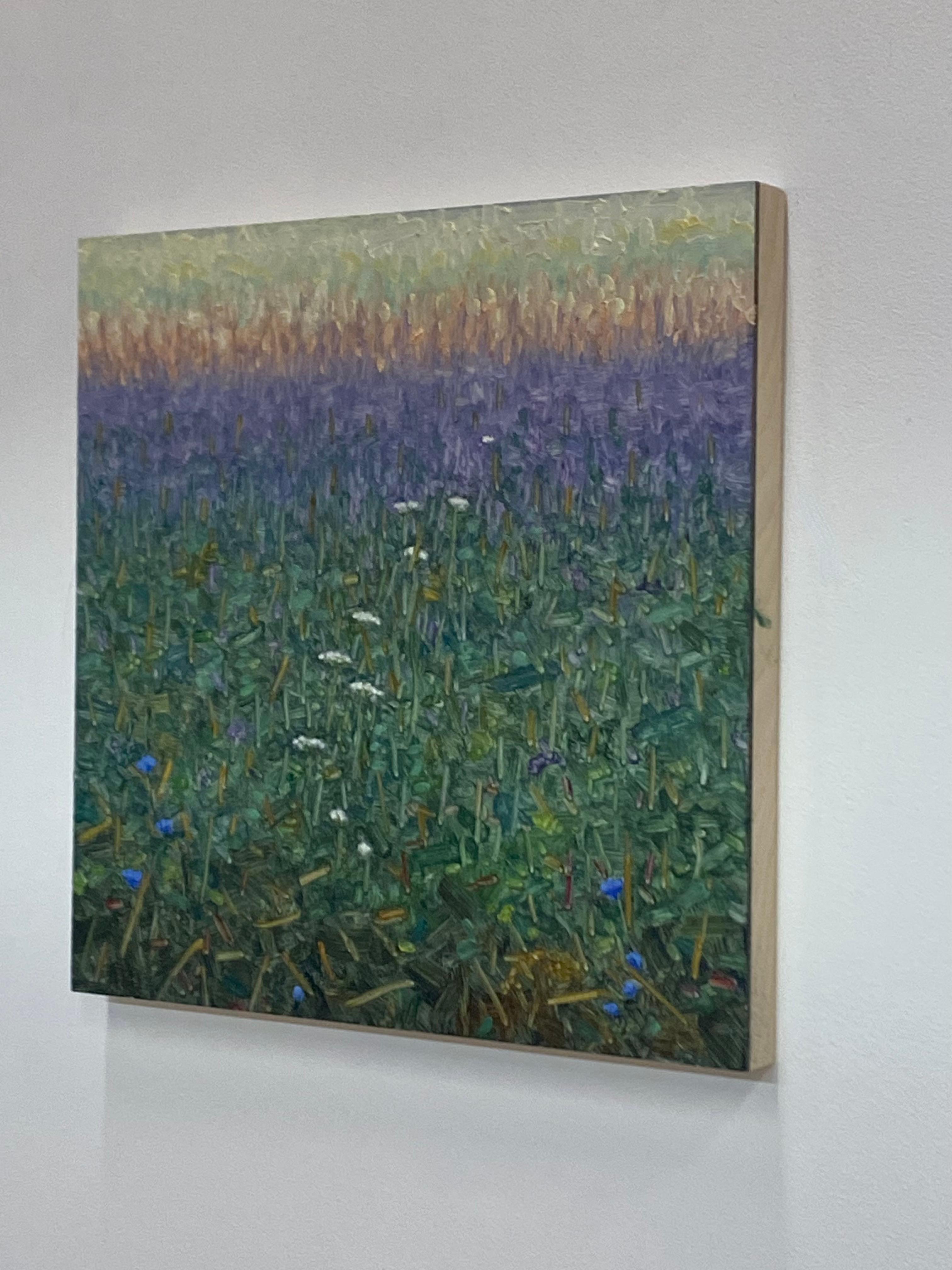 Pittura di campo 3 agosto 2021, viola, bianco, blu Fiori di lavanda Erba verde 6