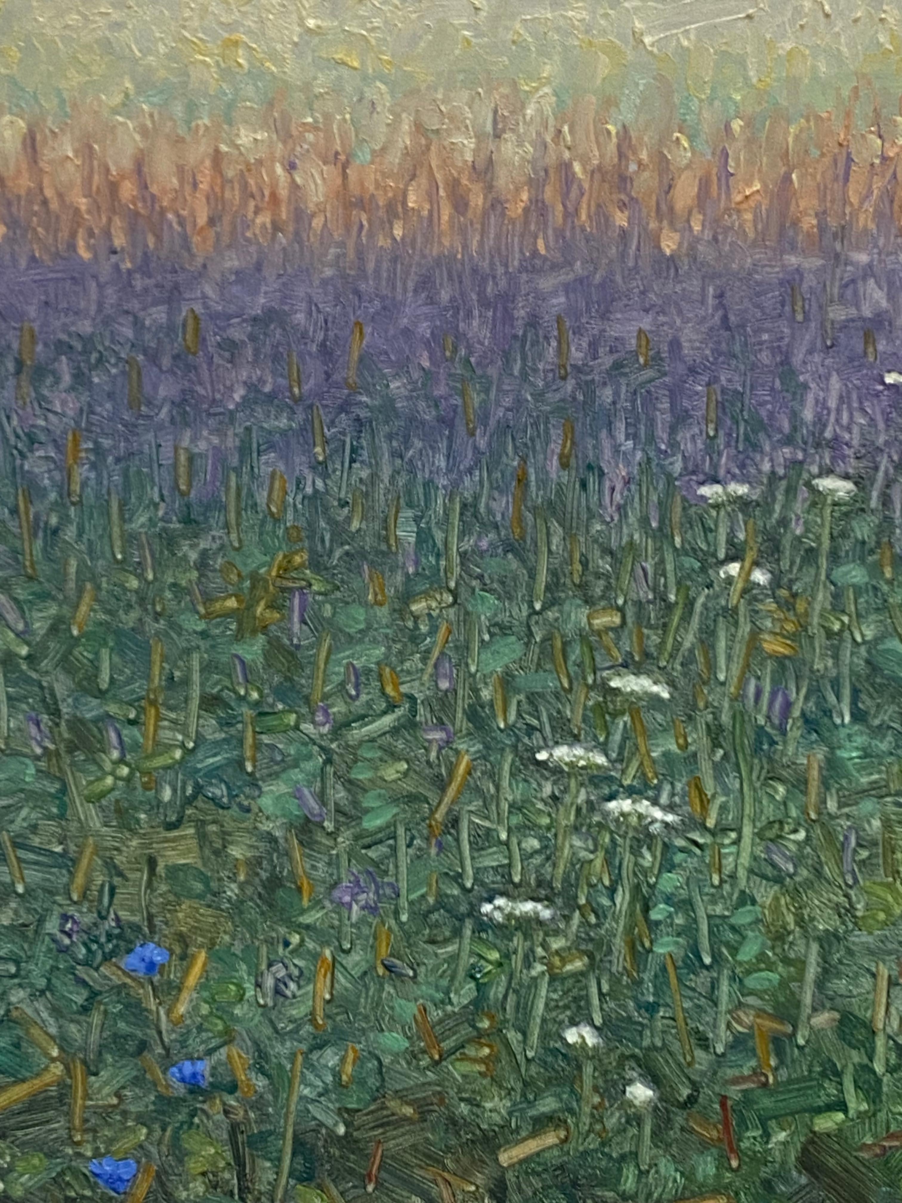 Pittura di campo 3 agosto 2021, viola, bianco, blu Fiori di lavanda Erba verde 1