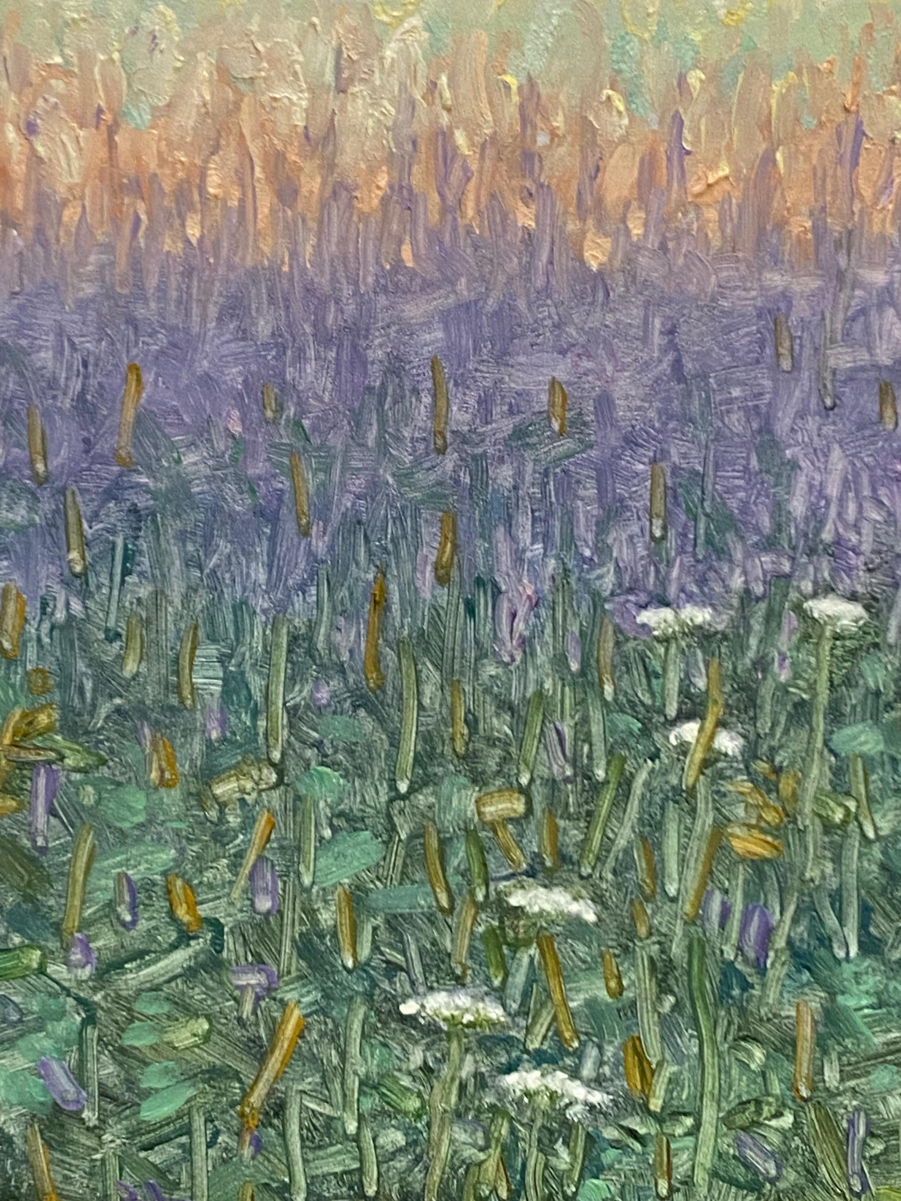Pittura di campo 3 agosto 2021, viola, bianco, blu Fiori di lavanda Erba verde 4