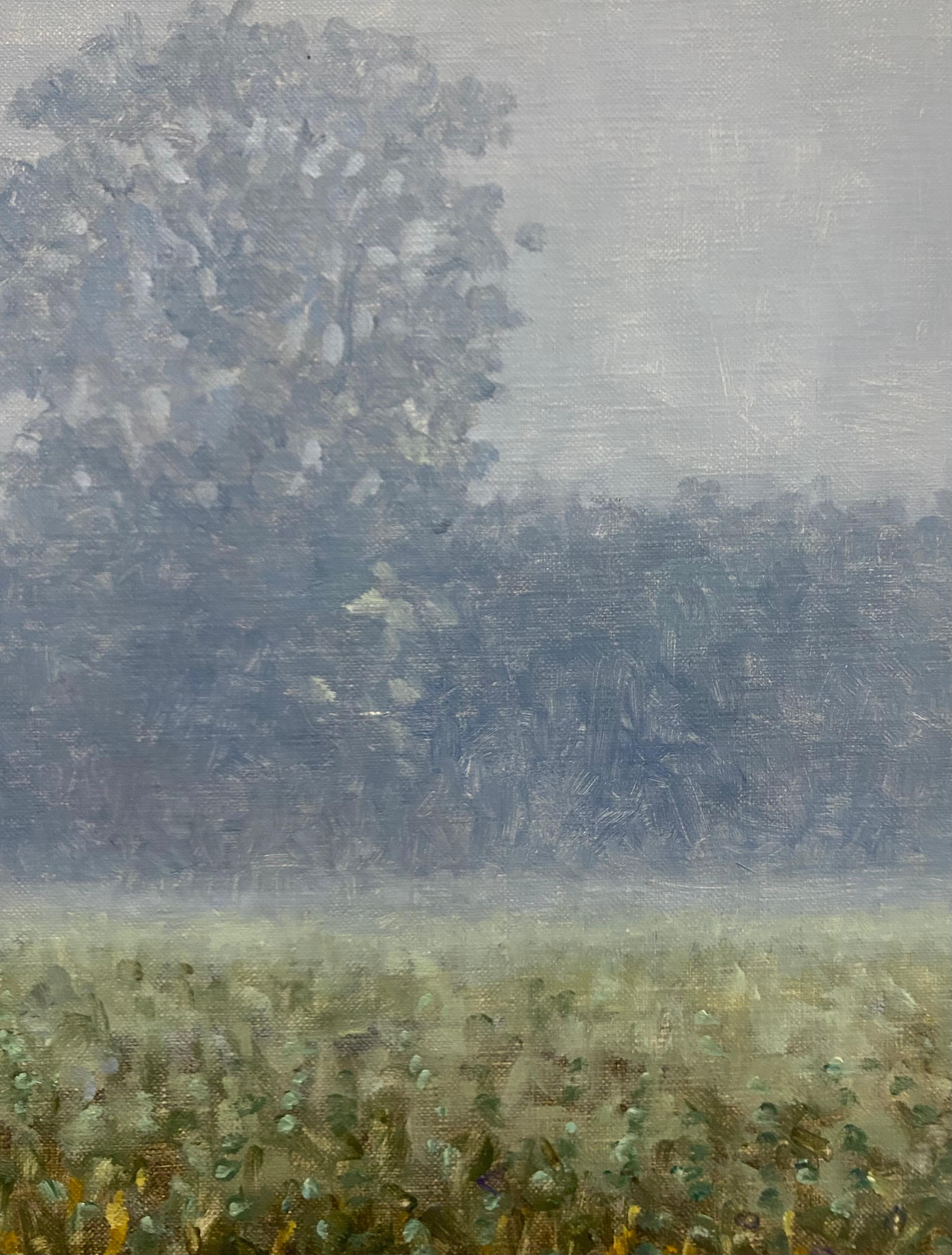 A peaceful outdoor scene of a delicately painted field and trees shrouded in fog, beautifully capturing the idyllic feel of late August. Signed, dated and titled on verso.

The paintings of Thomas Sarrantonio seek to mediate between realms of