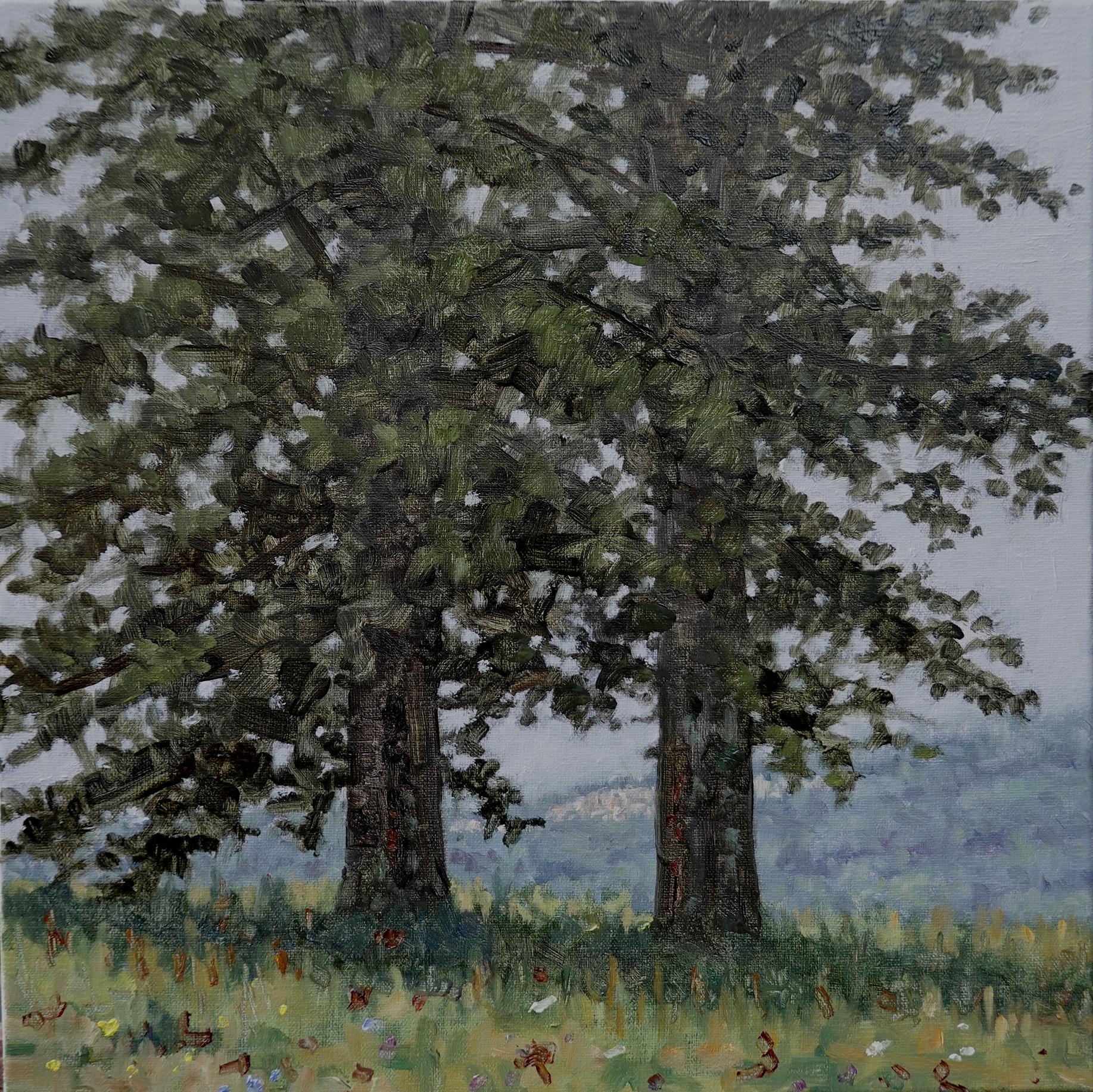 Thomas Sarrantonio Landscape Painting - Field Painting July 14 2021, Green Pine Trees, Grass, Hills, Summer Landscape