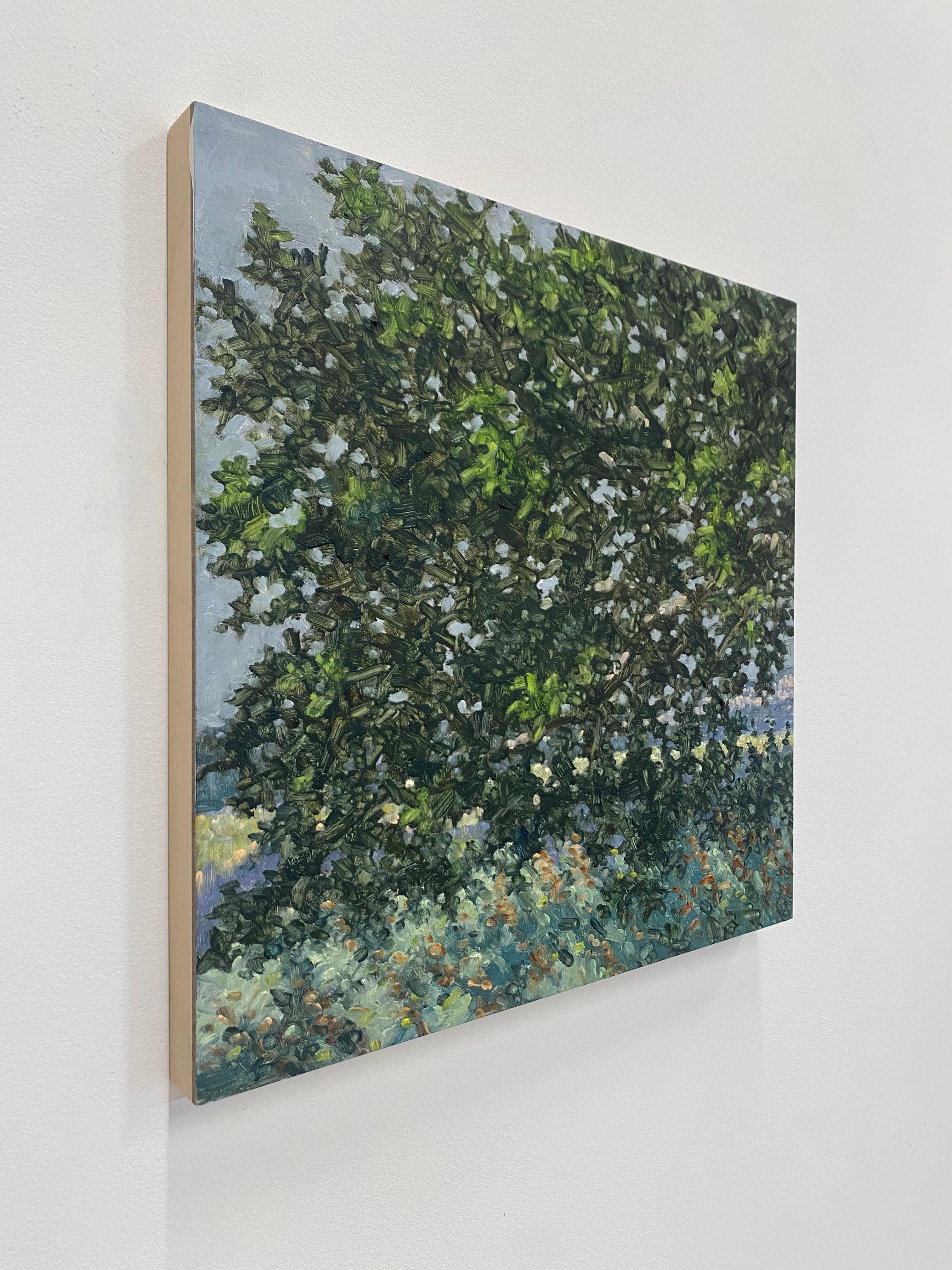 Peinture de terrain 15 juillet - Contemporary Landscape Green Tree Leaves Summer, 2022 - Contemporain Painting par Thomas Sarrantonio