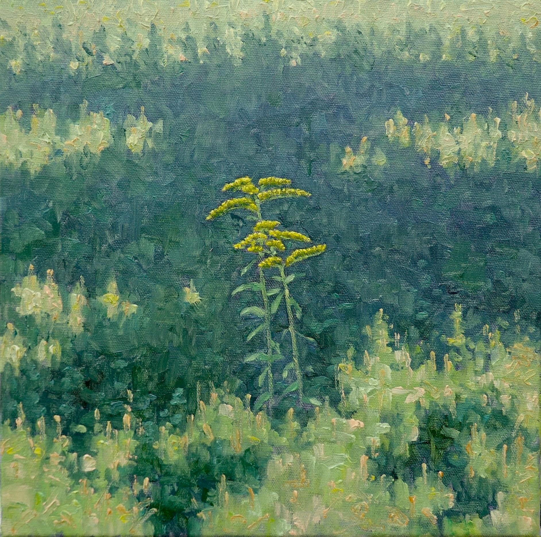 Landscape Painting Thomas Sarrantonio - Peinture de terrain 18 juillet - Peinture de paysage contemporaine Fleurs jaunes, 2025