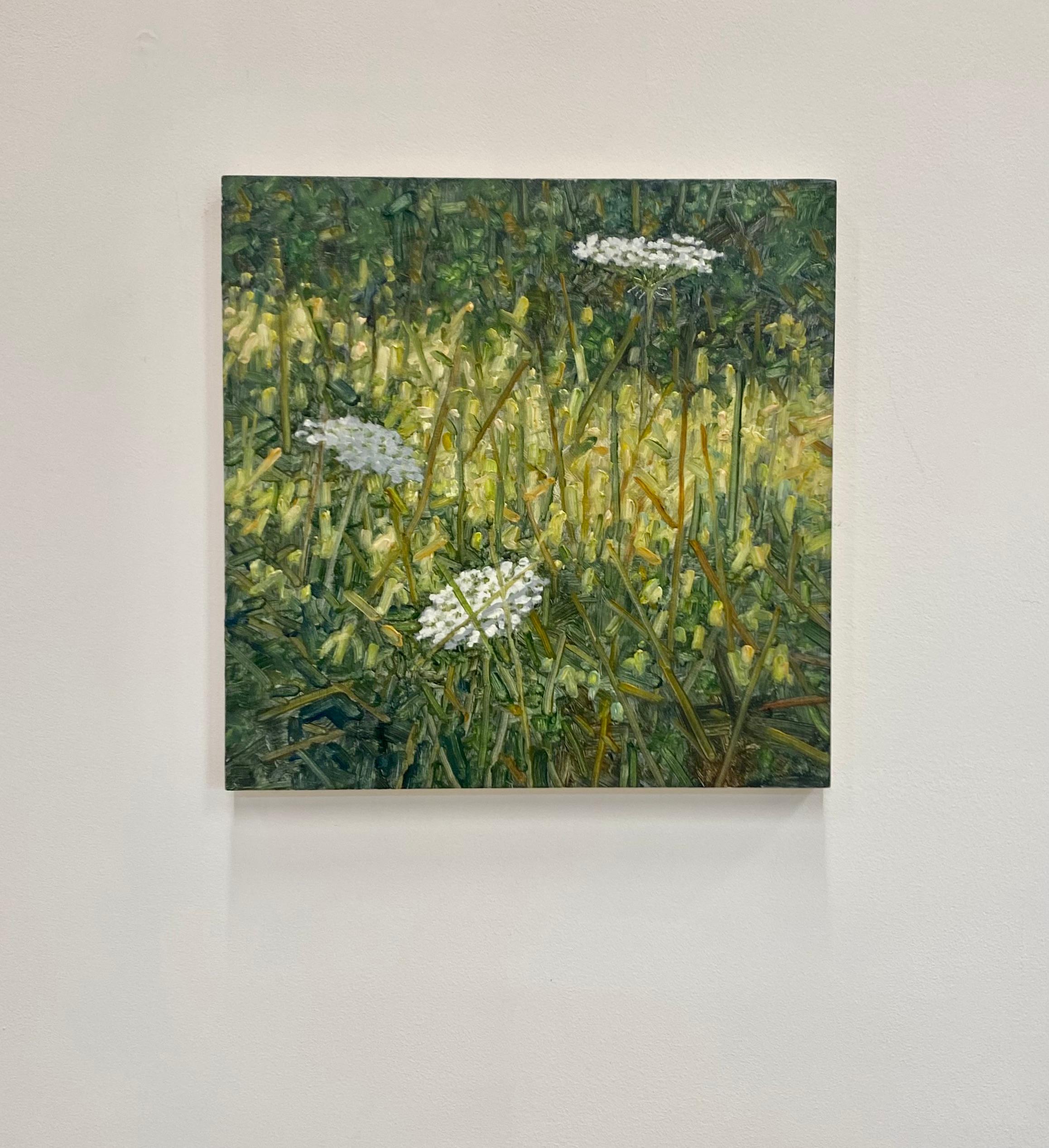 Field Painting Juli 20 2022 - Weiße Queen Anne's Lace Blumen Grünes Gras, 2022 (Grau), Landscape Painting, von Thomas Sarrantonio