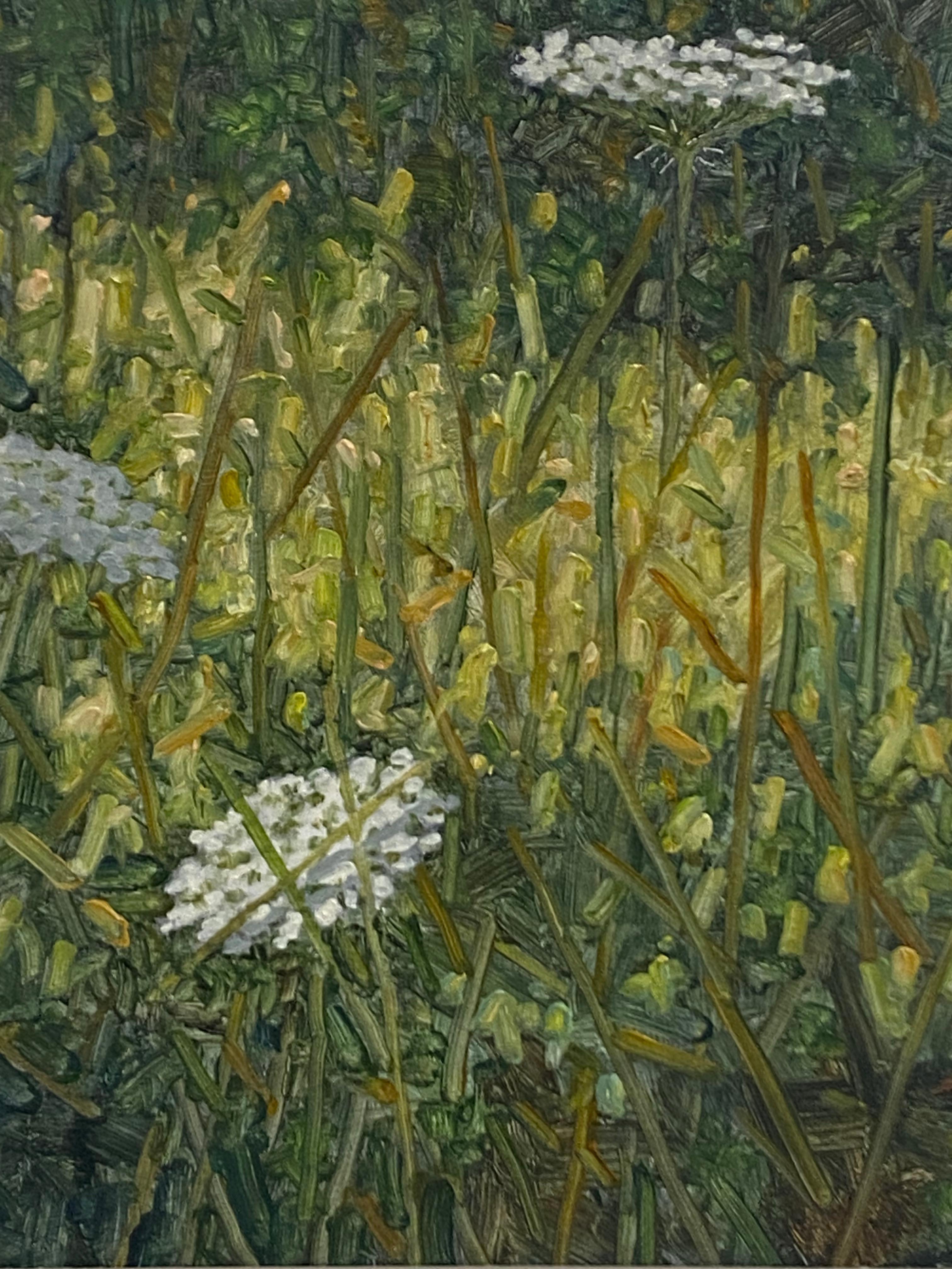 Field Painting Juli 20 2022 - Weiße Queen Anne's Lace Blumen Grünes Gras, 2022 im Angebot 1