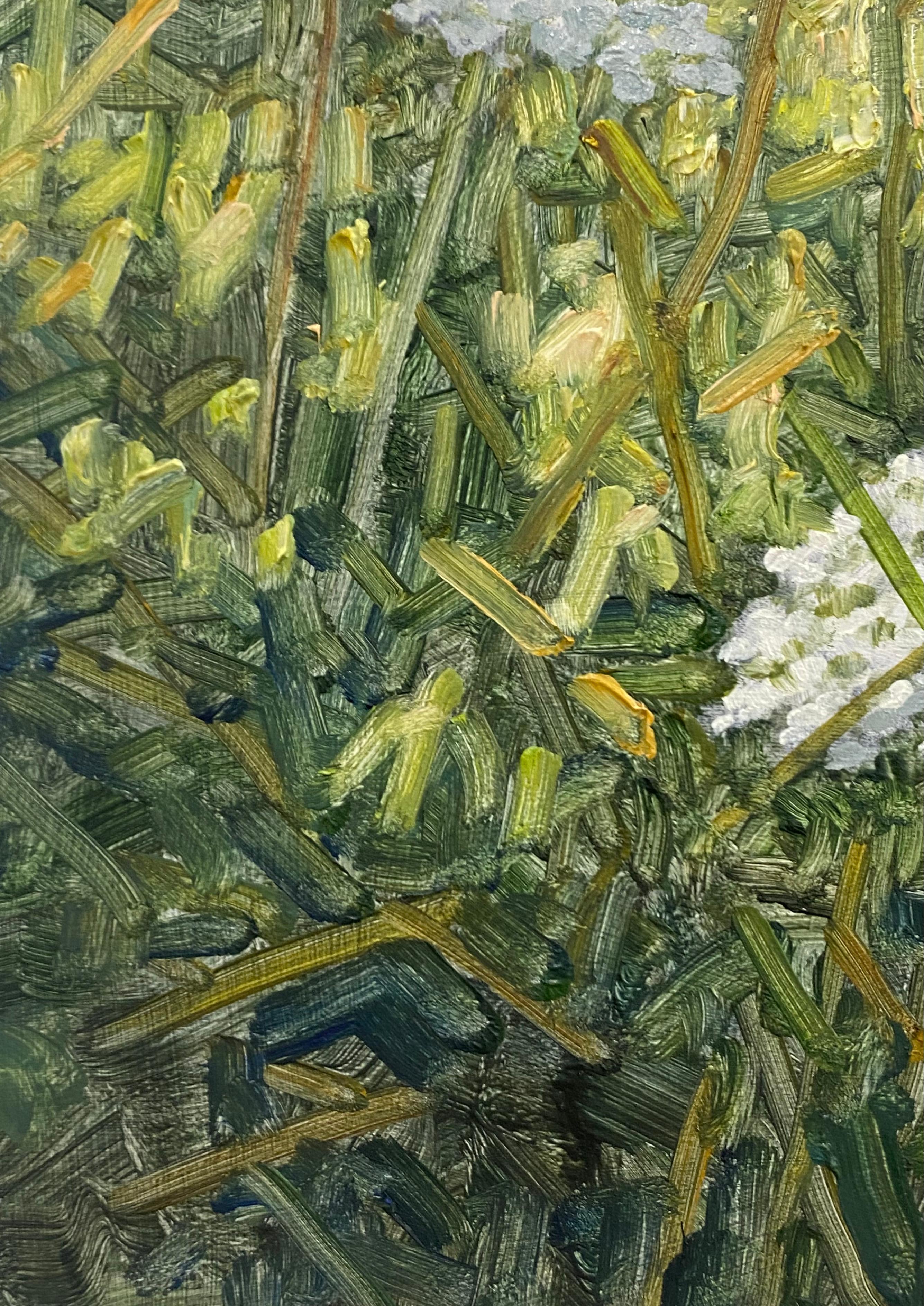 Field Painting Juli 20 2022 - Weiße Queen Anne's Lace Blumen Grünes Gras, 2022 im Angebot 3