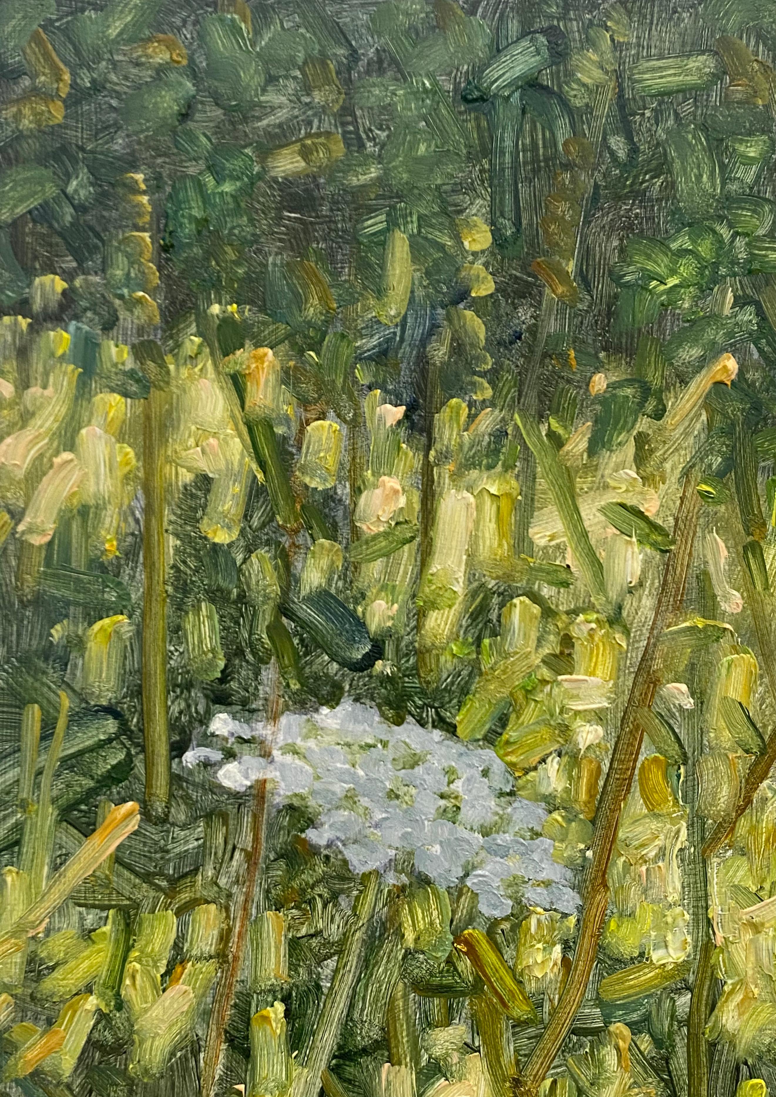 Field Painting Juli 20 2022 - Weiße Queen Anne's Lace Blumen Grünes Gras, 2022 im Angebot 4
