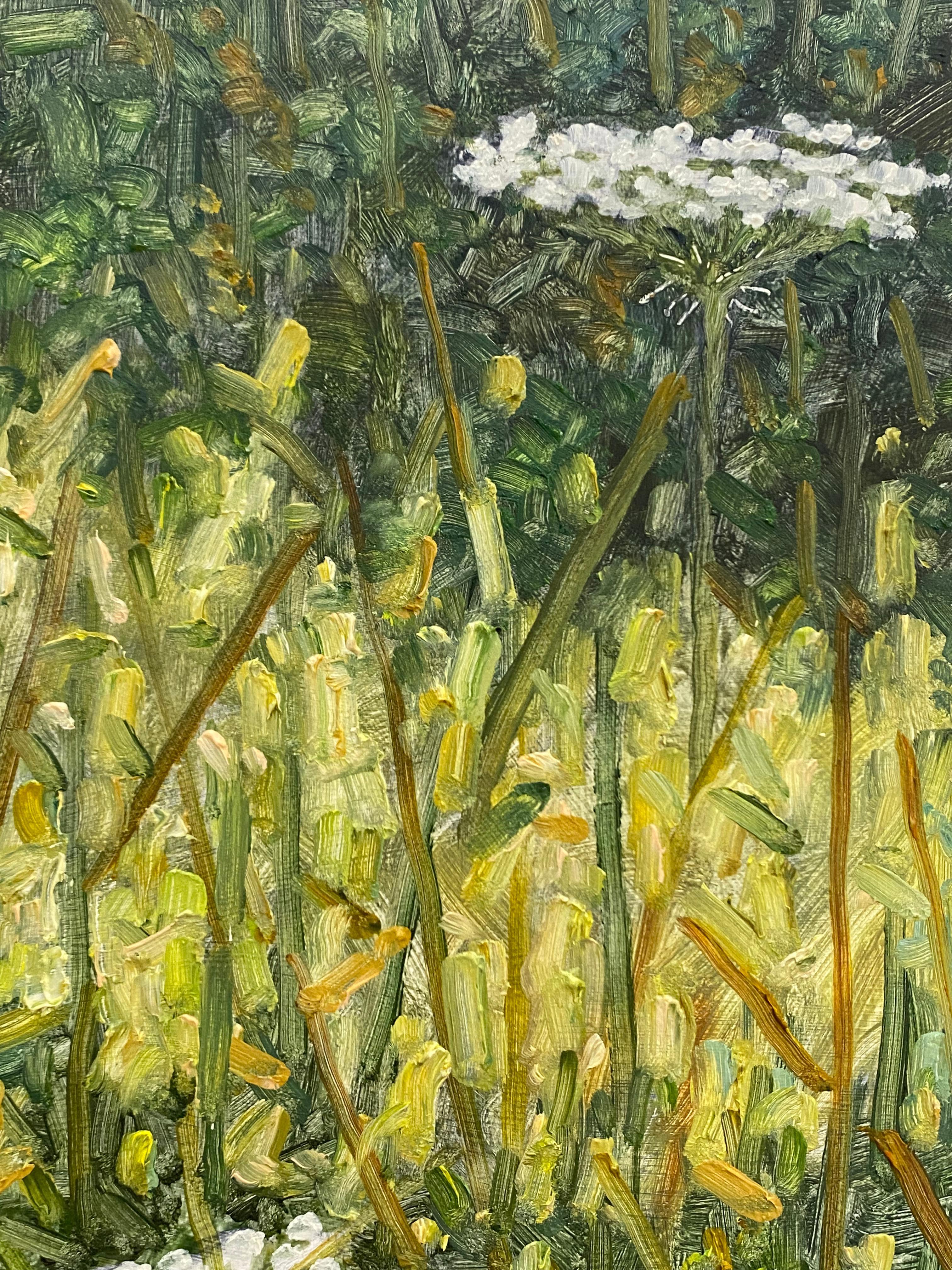 Field Painting Juli 20 2022 - Weiße Queen Anne's Lace Blumen Grünes Gras, 2022 im Angebot 5
