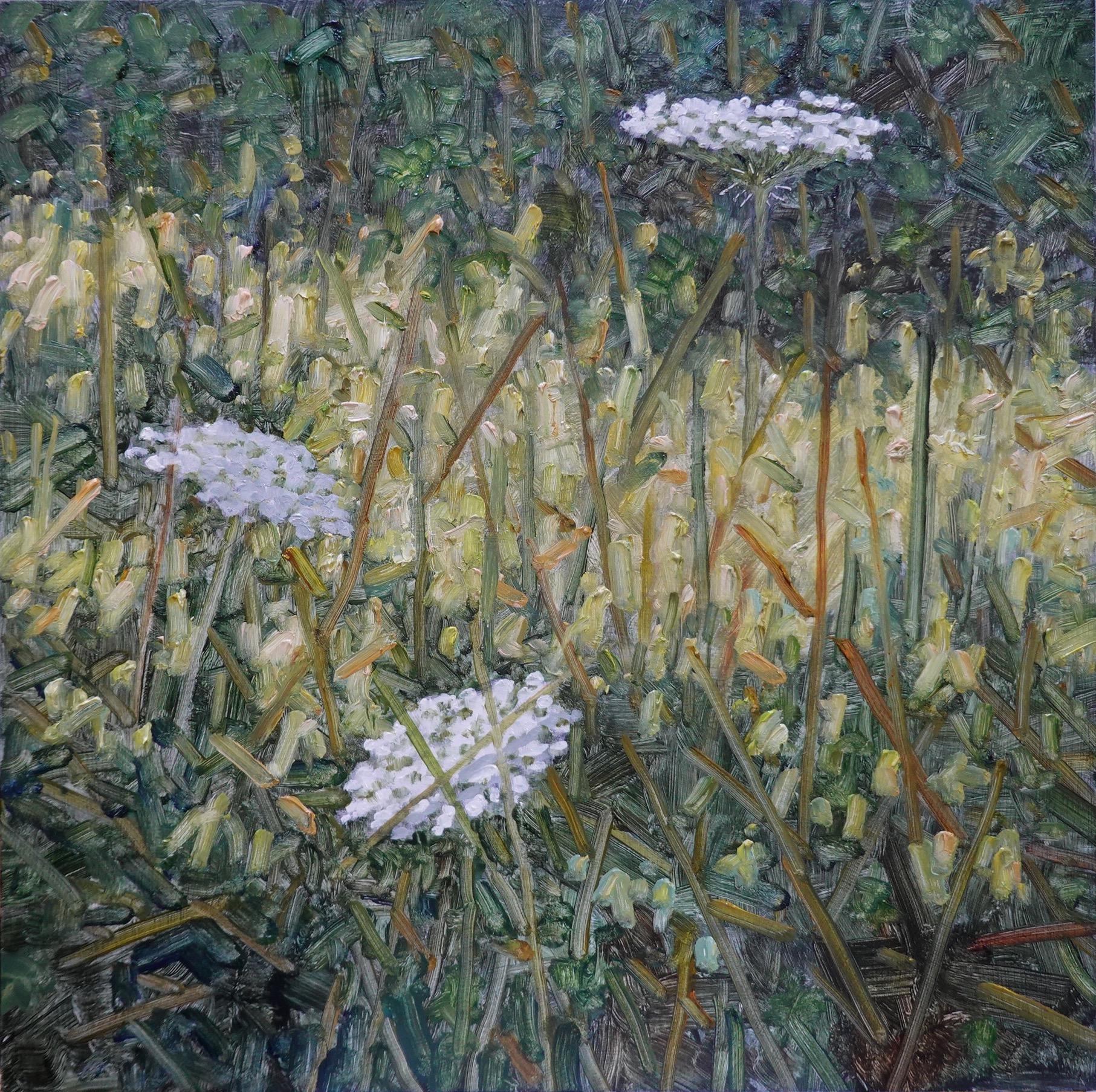 Field Painting Juli 20 2022 - Weiße Queen Anne's Lace Blumen Grünes Gras, 2022