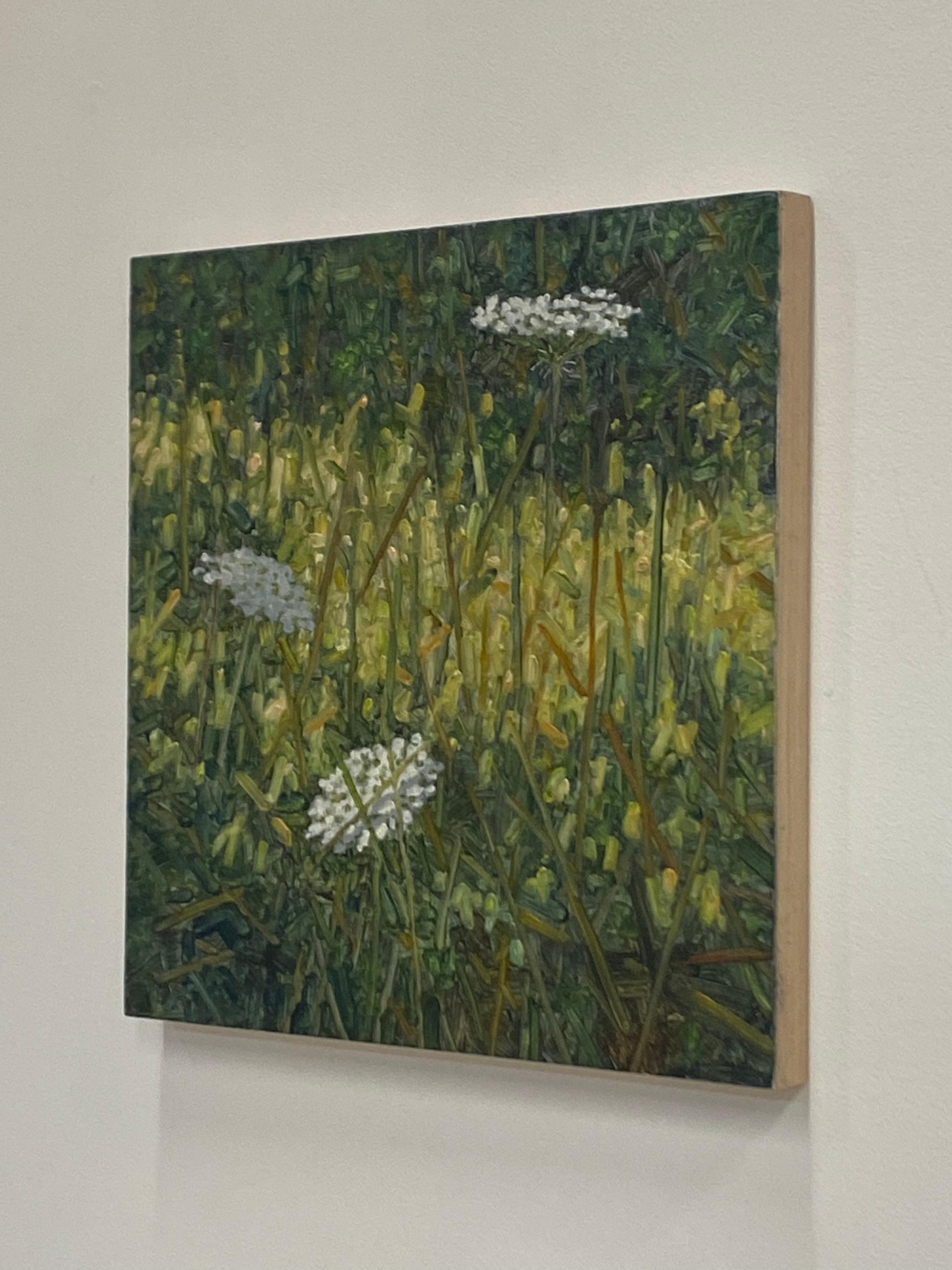 Field Painting July 20 2022, White Queen Anne's Lace Flowers, Green Grass For Sale 9
