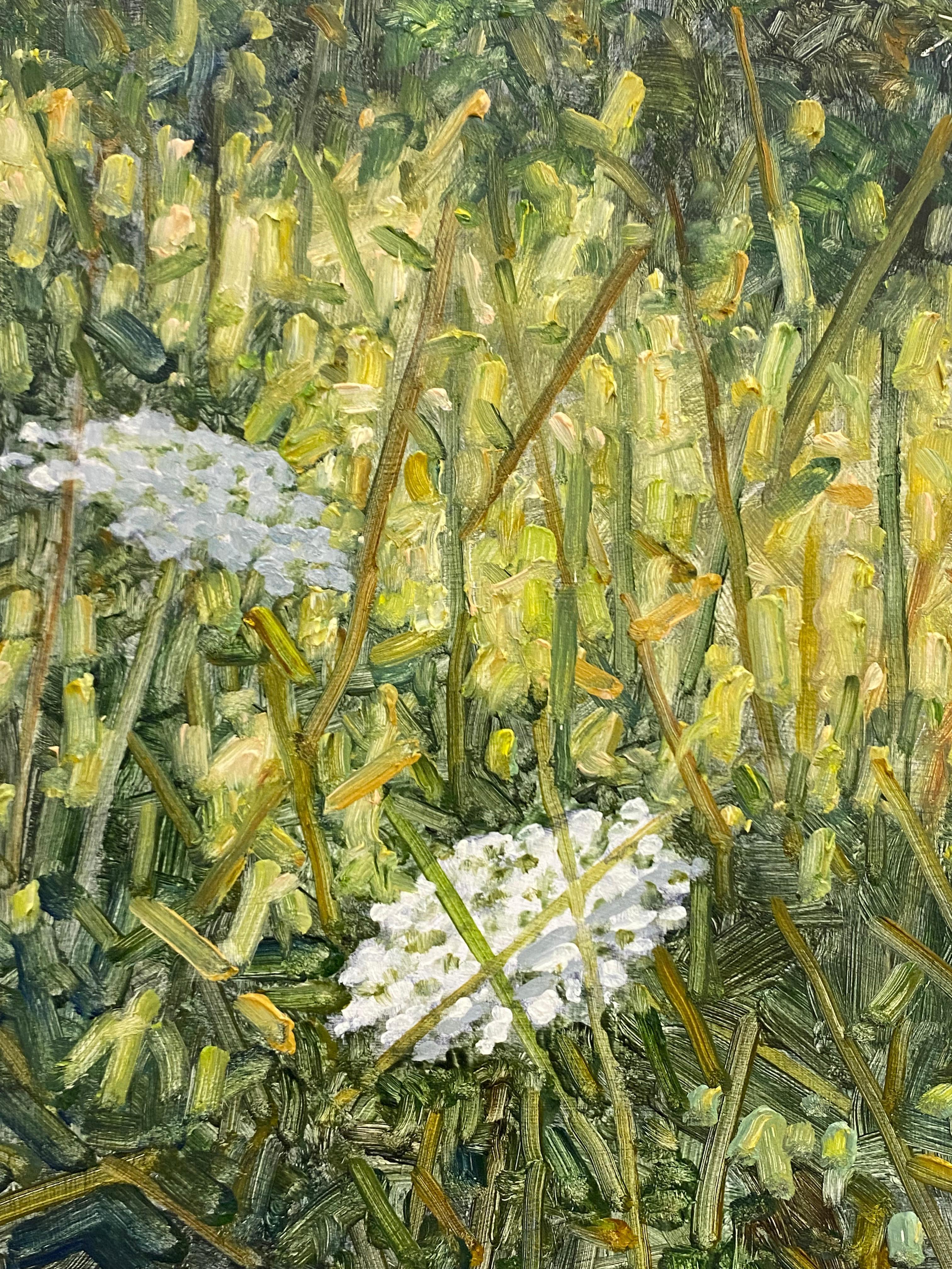 Field Painting July 20 2022, White Queen Anne's Lace Flowers, Green Grass For Sale 3