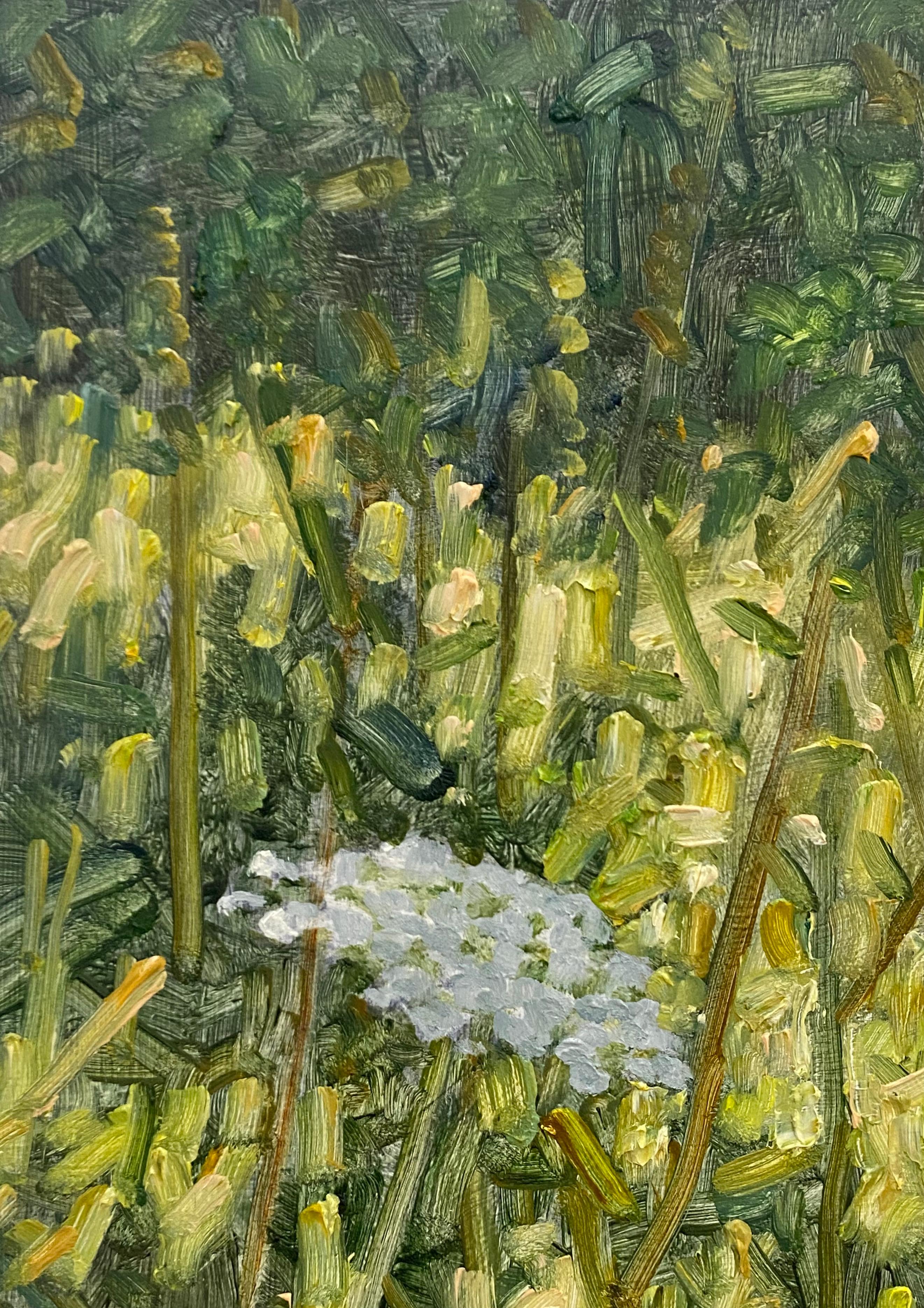 Field Painting July 20 2022, White Queen Anne's Lace Flowers, Green Grass For Sale 5