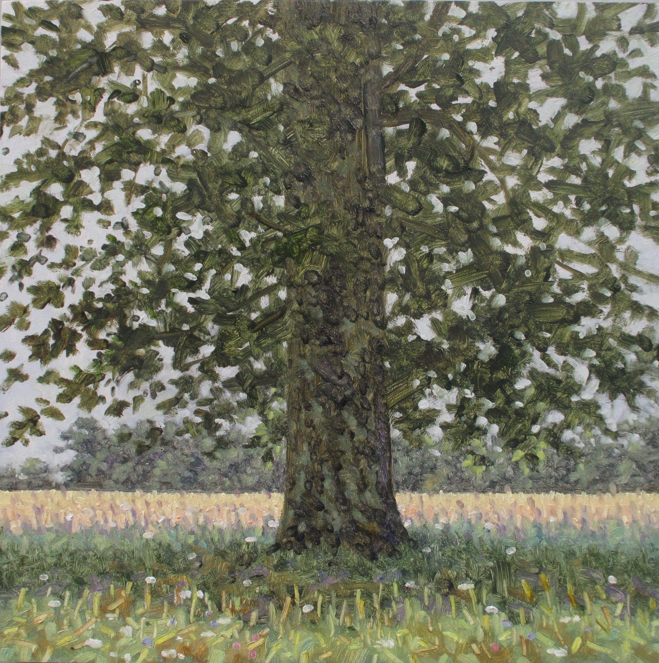 Thomas Sarrantonio Landscape Painting - Field Painting August 13 2020, Botanical Landscape, Green Tree in Field