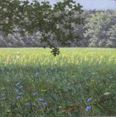 Field Painting July 24, Square Landscape, Violet Flowers, Green Field, Trees