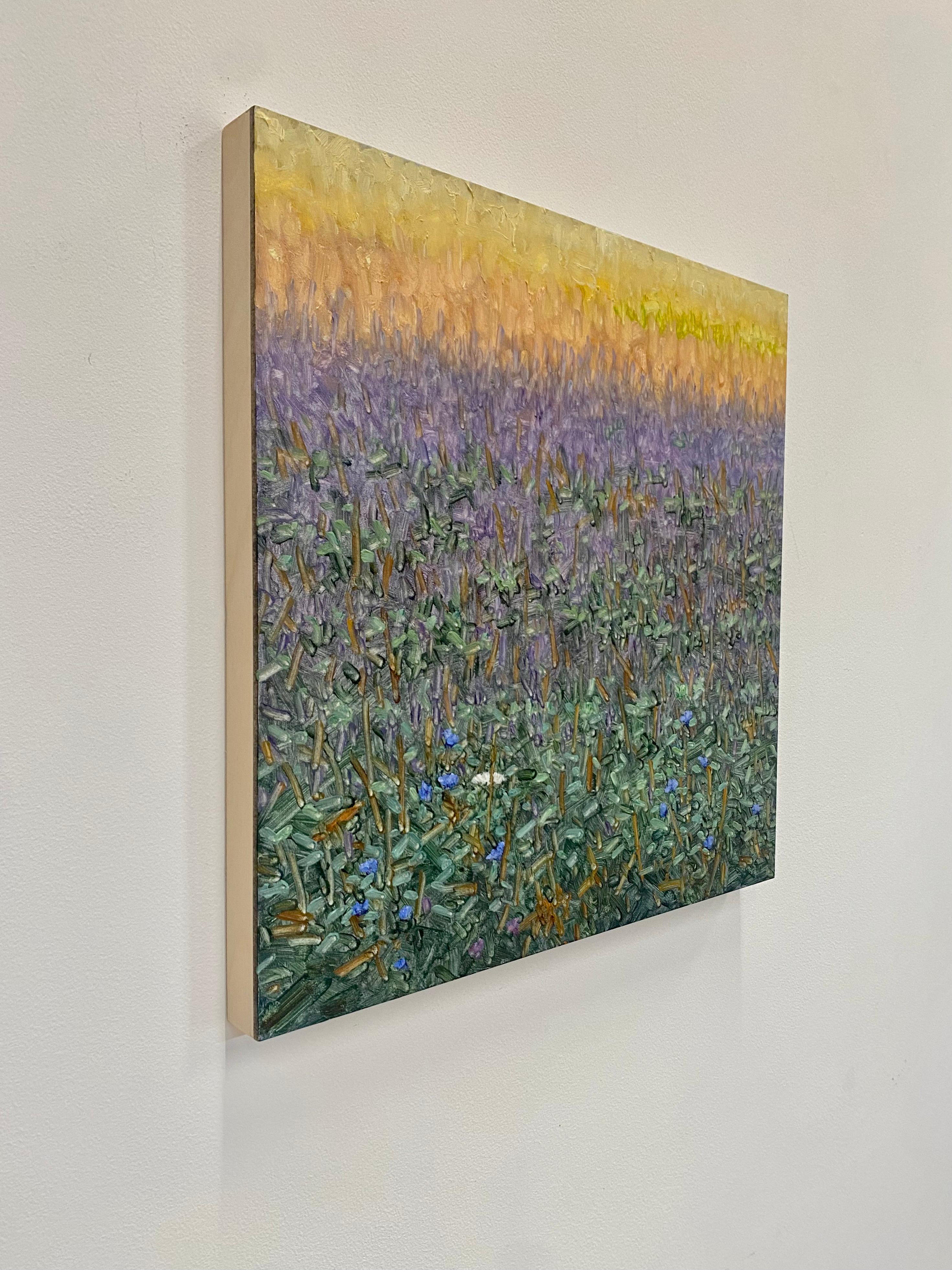 Field Painting July 29 2022, Landscape, Purple, Violet Blue Flowers Green Grass For Sale 1