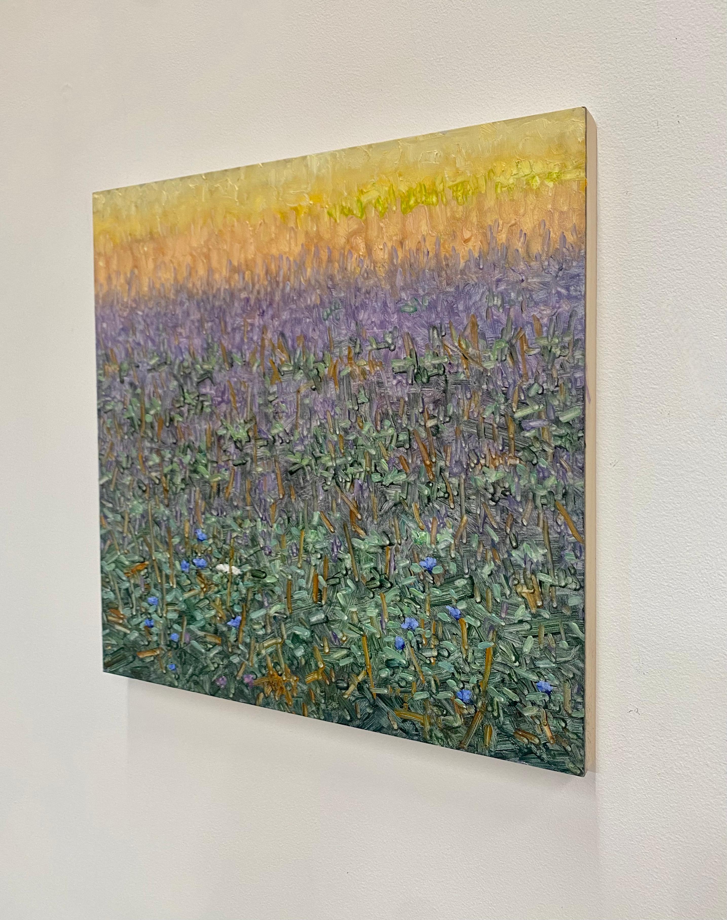 Field Painting July 29 2022, Landscape, Purple, Violet Blue Flowers Green Grass For Sale 9