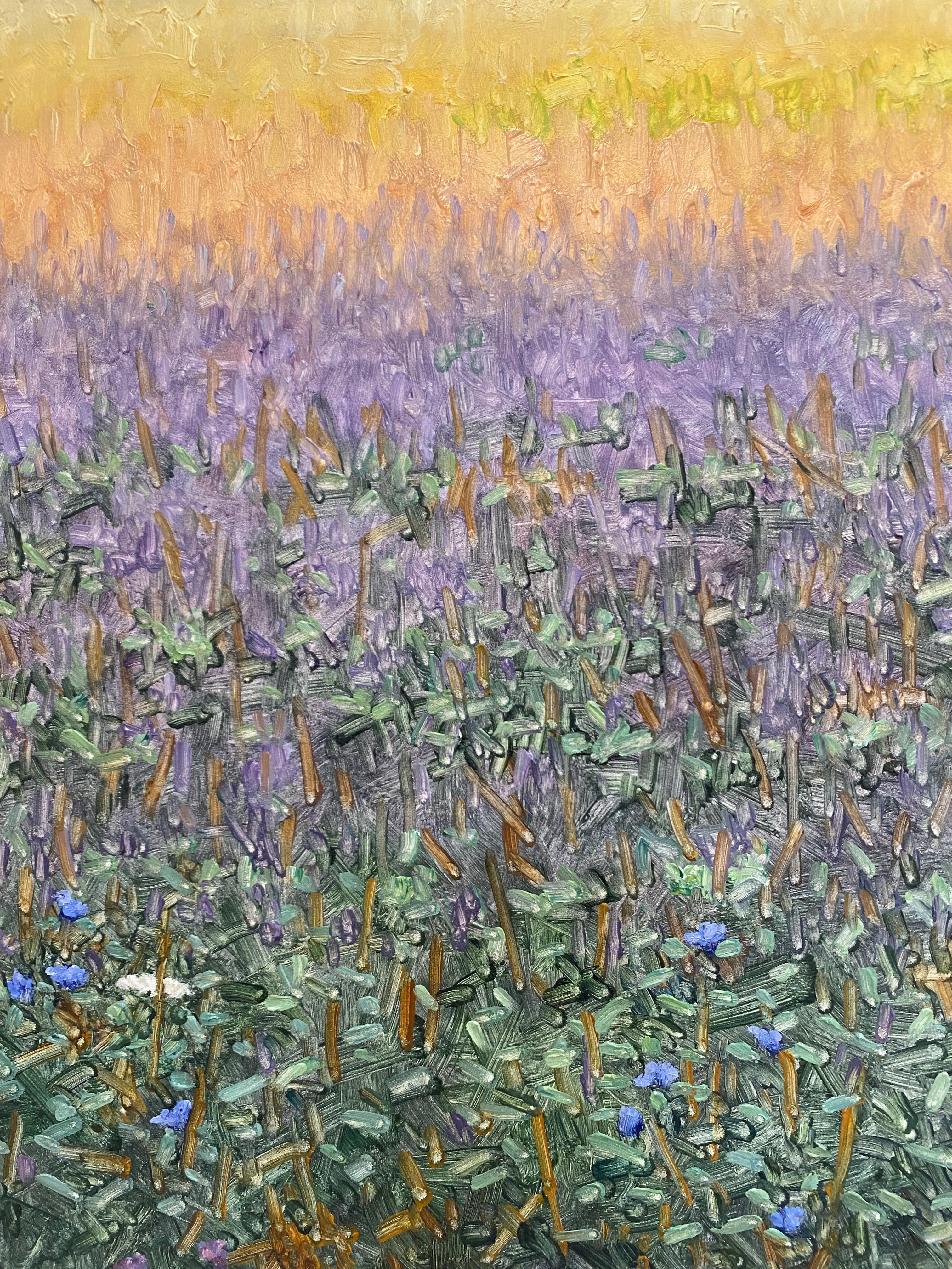 Field Painting July 29 2022, Landscape, Purple, Violet Blue Flowers Green Grass For Sale 3