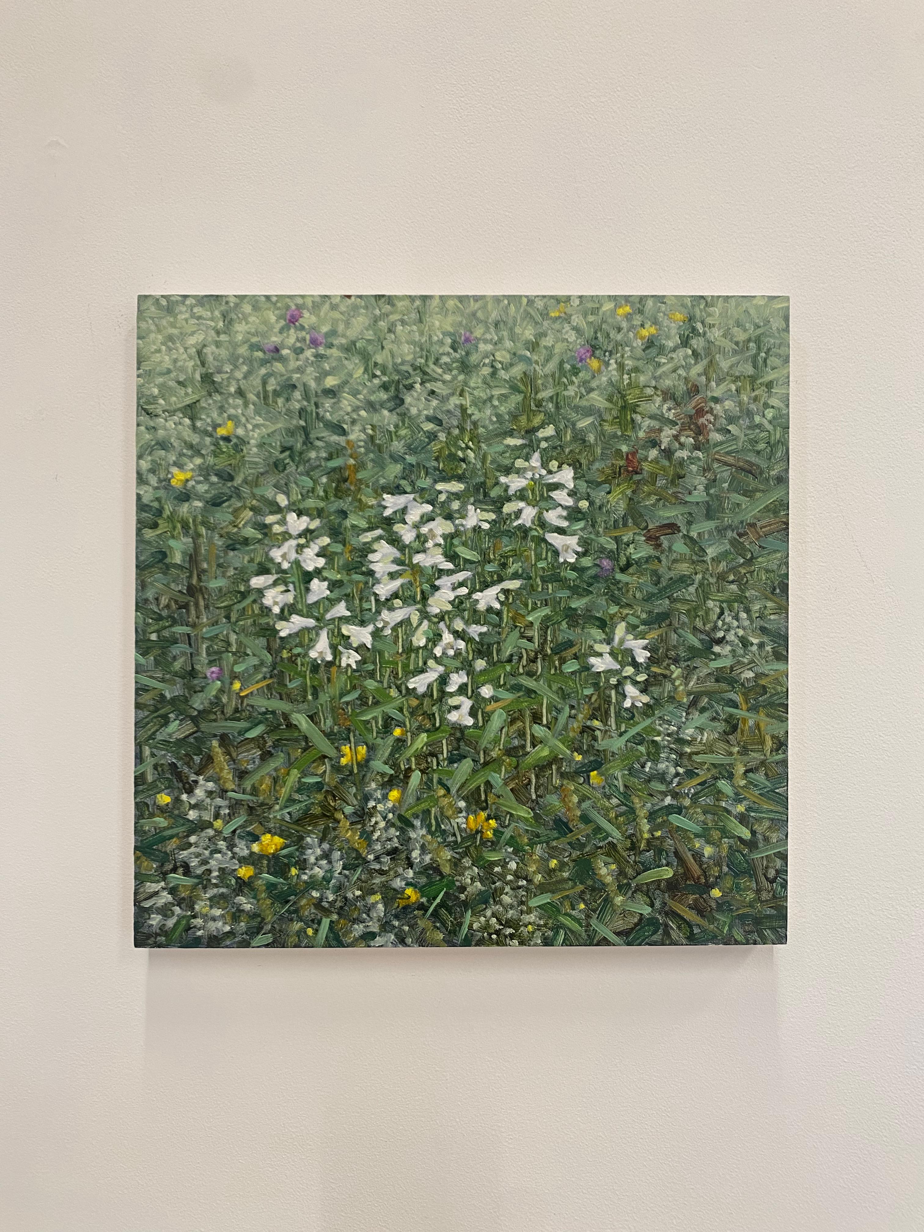 A peaceful outdoor scene with a grassy field with white and yellow flowers, beautifully capturing the idyllic feel of a field of wildflowers in late June. Signed, dated and titled on verso.

The paintings of Thomas Sarrantonio seek to mediate