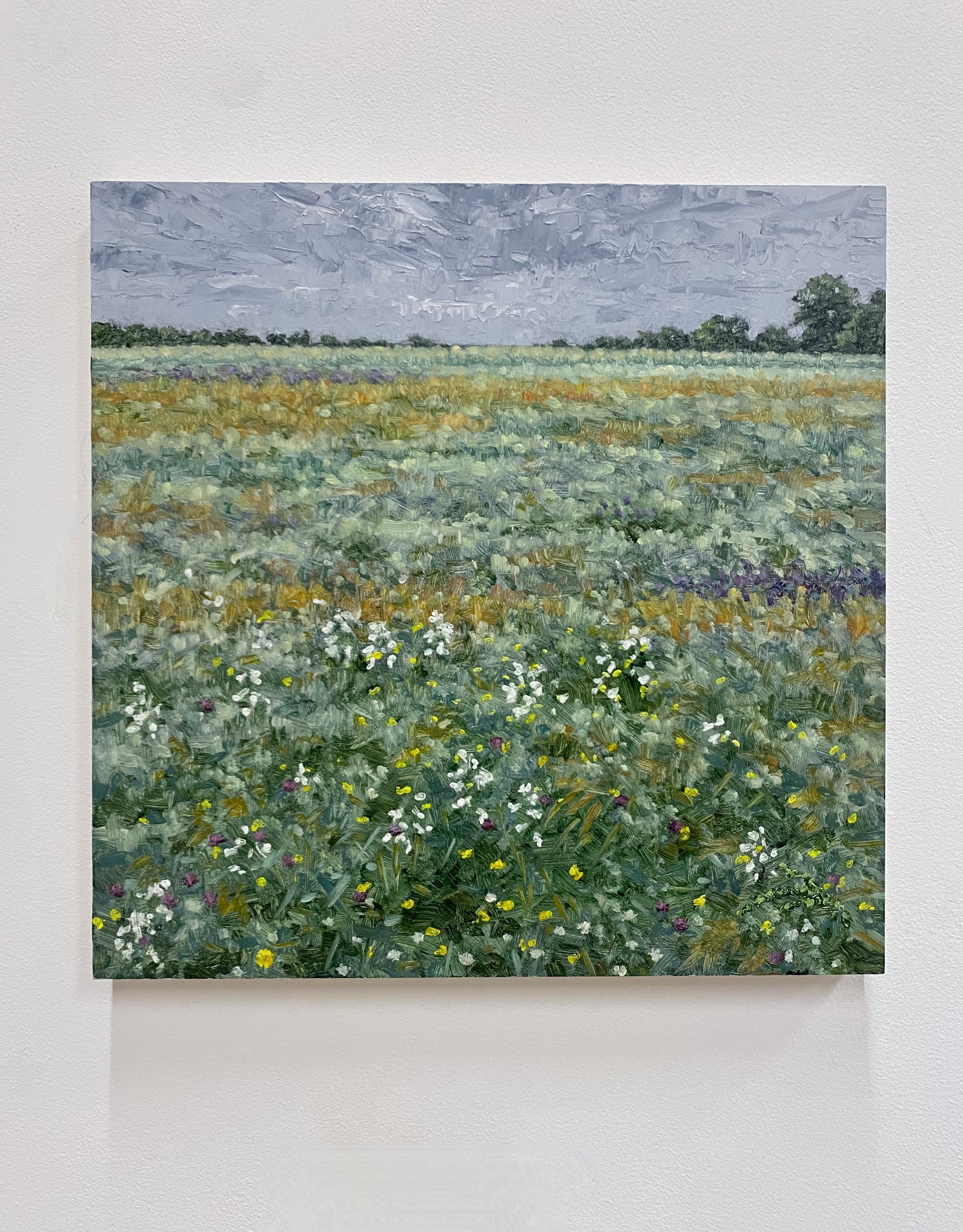 A peaceful outdoor scene with a grassy field with purple flowers, beautifully capturing the idyllic feel of a field of wildflowers in mid June. Signed, dated and titled on verso.

The paintings of Thomas Sarrantonio seek to mediate between realms of