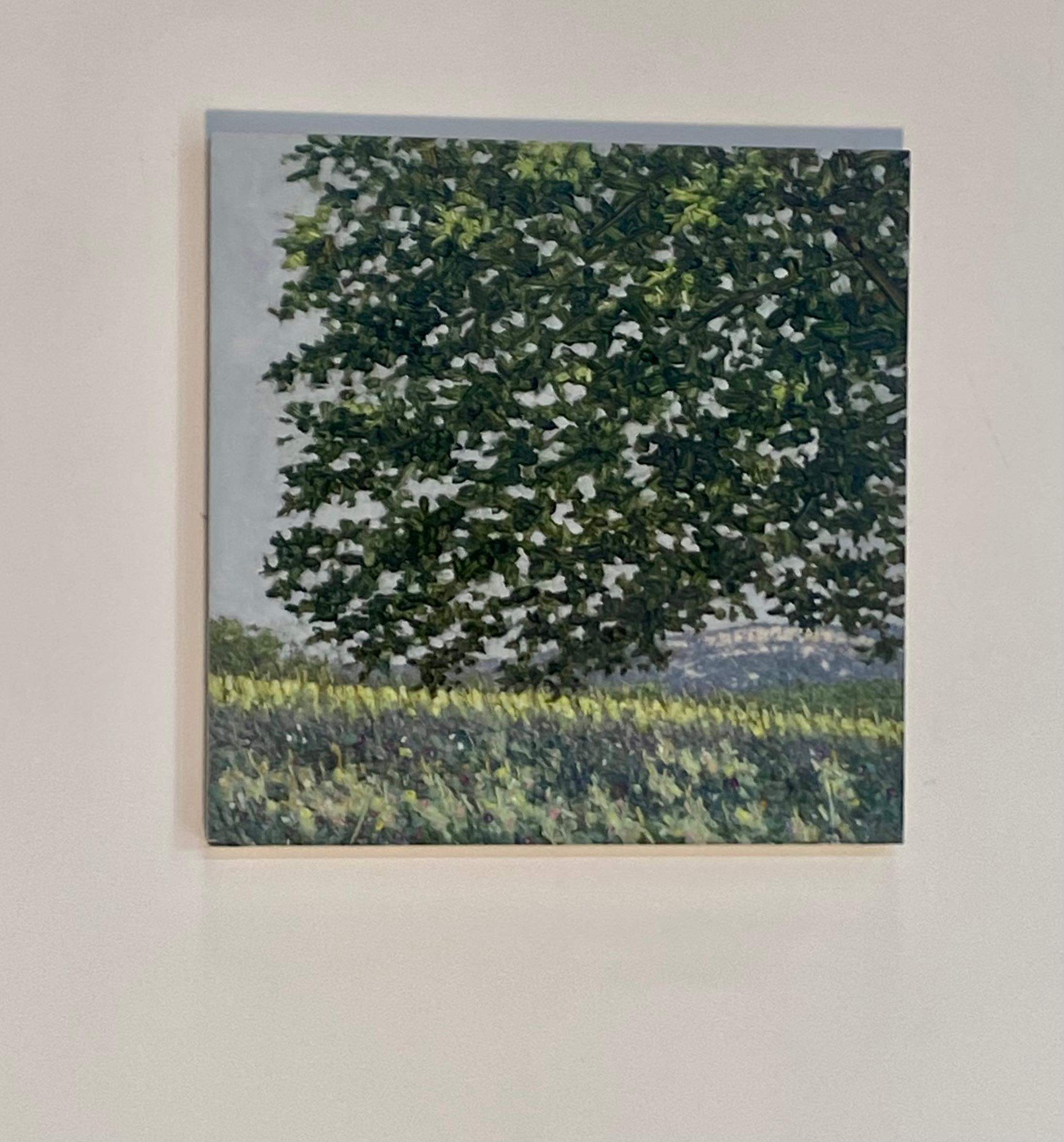 Pittura di campo 23 giugno 2021 - Paesaggio estivo Albero Fiori viola Erba, 2021 - Painting di Thomas Sarrantonio