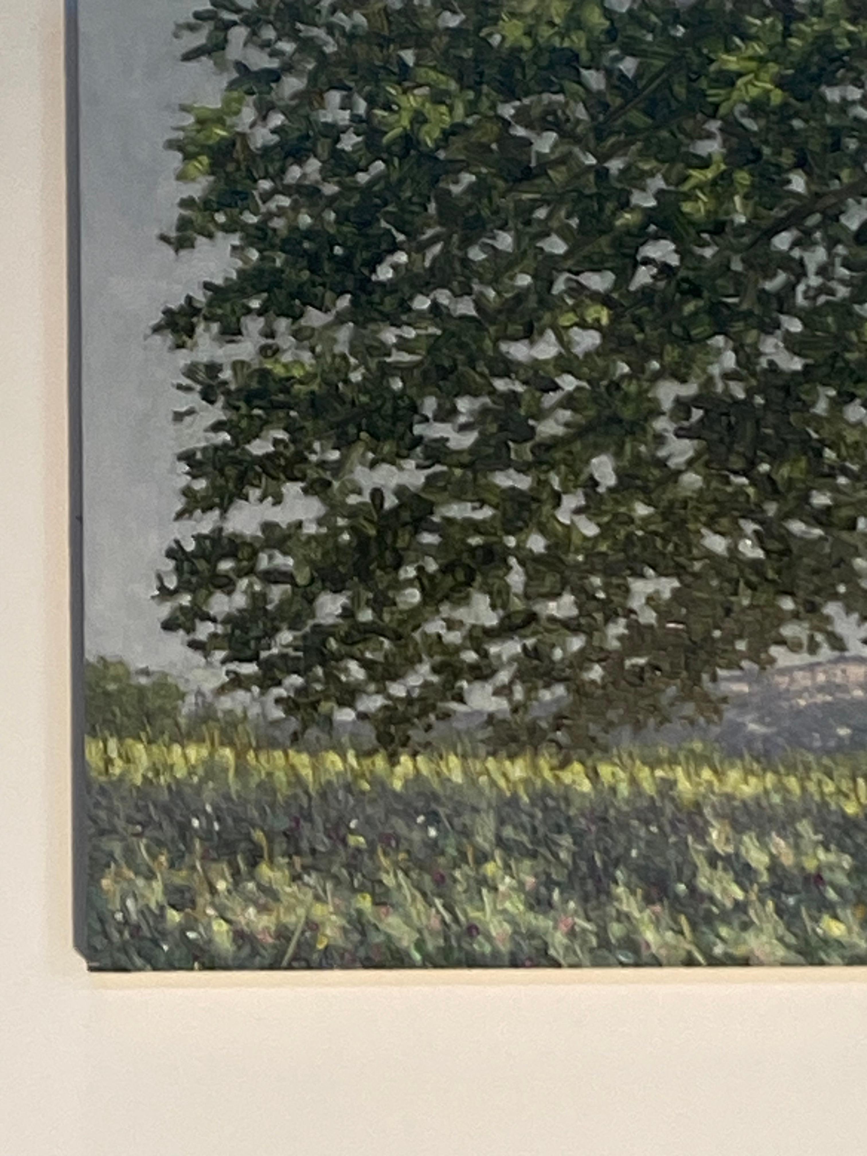 Pittura di campo 23 giugno 2021 - Paesaggio estivo Albero Fiori viola Erba, 2021 - Landscape Painting Nero di Thomas Sarrantonio