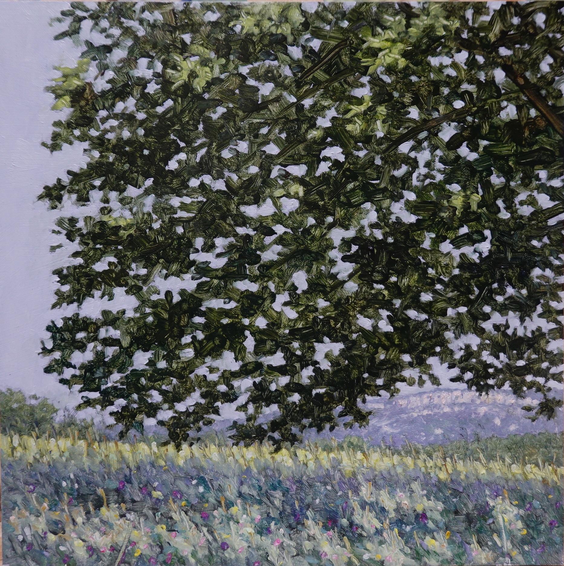 Thomas Sarrantonio Landscape Painting – Field Painting 23. Juni 2021 – Sommerlandschaft, Baum, lila Blumen, Gras, Feld, 2021