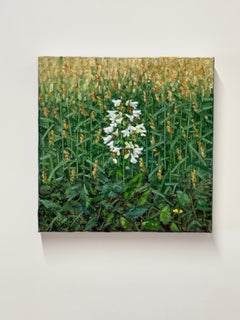 Pintura de campo 26 de junio - Pintura contemporánea de paisaje Flores blancas, 2025