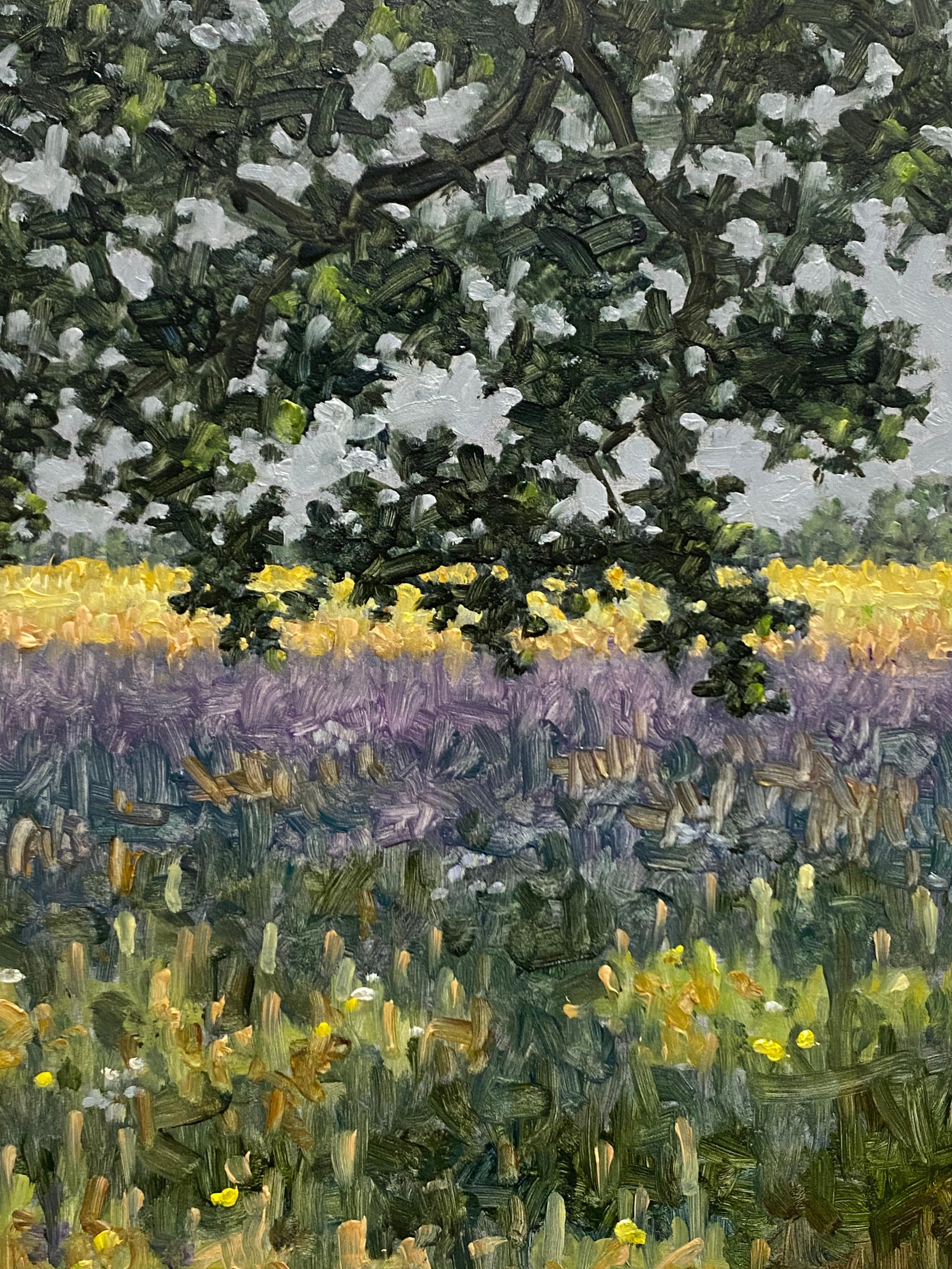 Eine friedliche Szene im Freien zur Sommerzeit mit einem zart gemalten Feld aus lavendelfarbenen Blumen unter einem Baum mit dunkelgrünen Blättern, die das idyllische Gefühl eines Feldes mit Wildblumen und hohem Gras Ende Juni wunderbar einfangen.