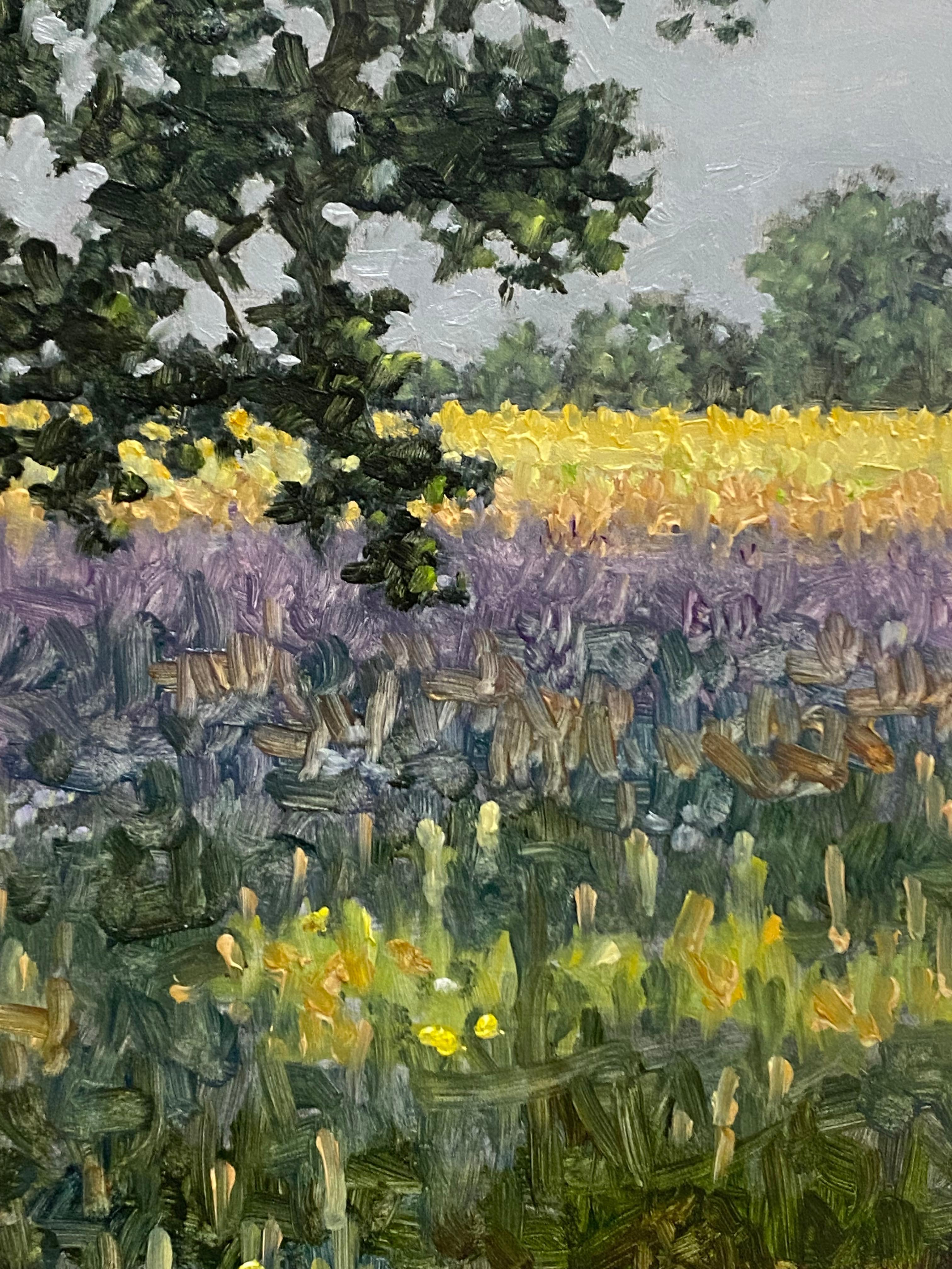 Feldgemälde 30. Juni 2022, Grüner Baum, goldenes Gras, lila Lavendelblüten im Angebot 3