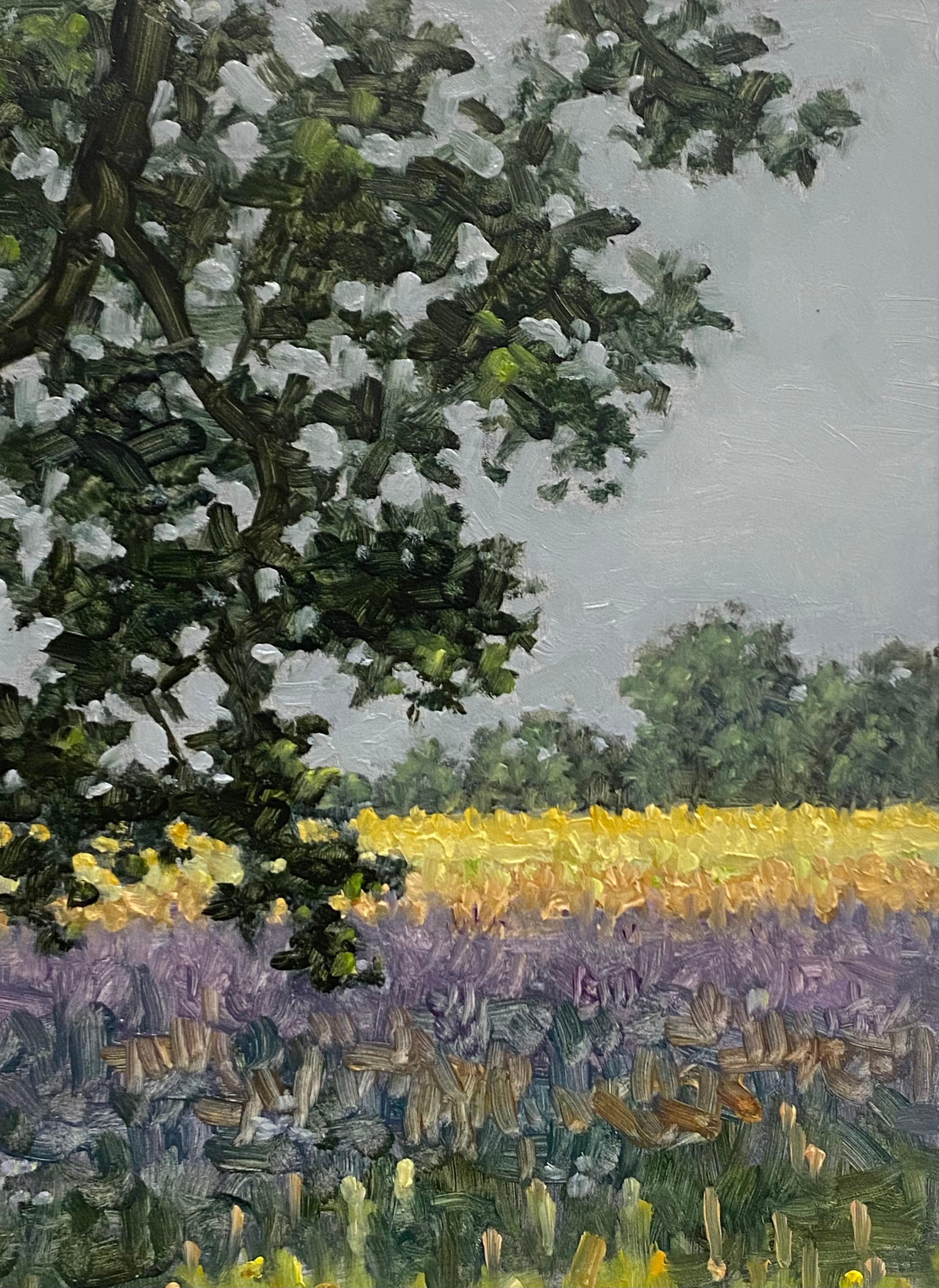 A peaceful outdoor scene with a delicately painted field with purple lavender flowers beneath a tree with dark green leaves, beautifully capturing the idyllic feel of a field of wildflowers and tall grass in late June. Signed, dated and titled on