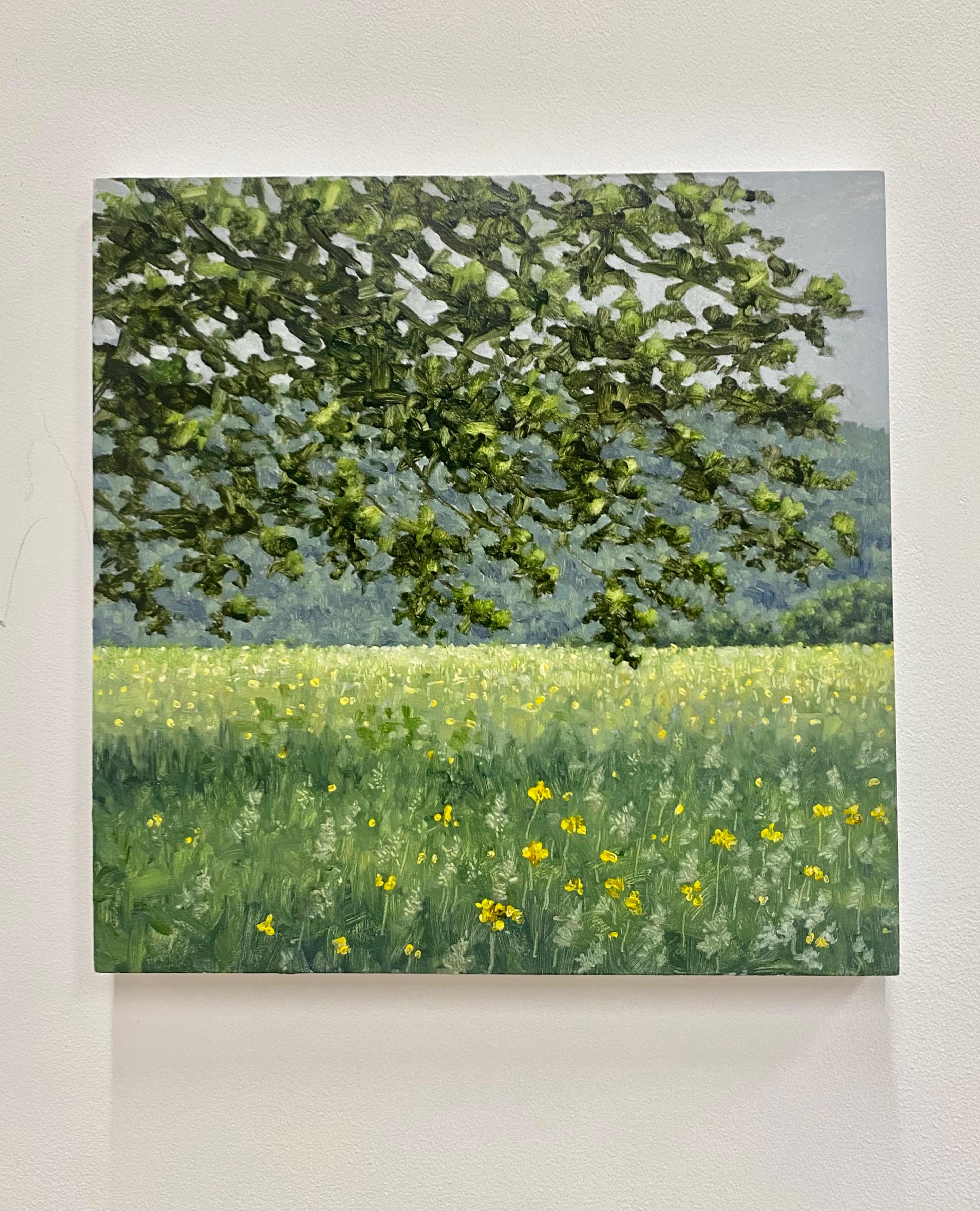 A peaceful outdoor scene with a grassy field with yellow flowers beneath a tree with dark green leaves, beautifully capturing the idyllic feel of early June. Signed, dated and titled on verso.

The paintings of Thomas Sarrantonio seek to mediate