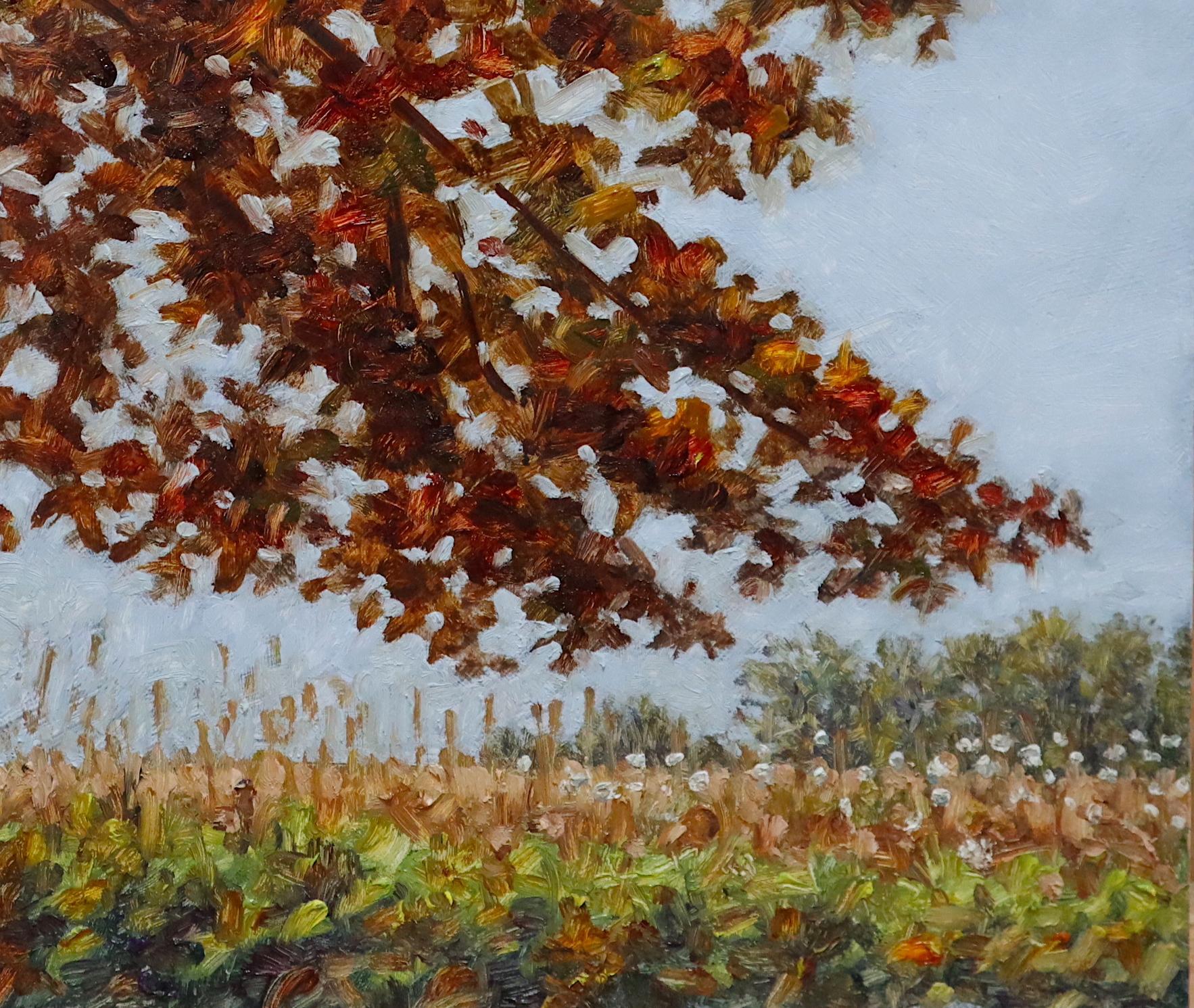 Field Painting November 5 2020, Golden Dark Red Fall Tree, Autumn, Burgundy For Sale 4