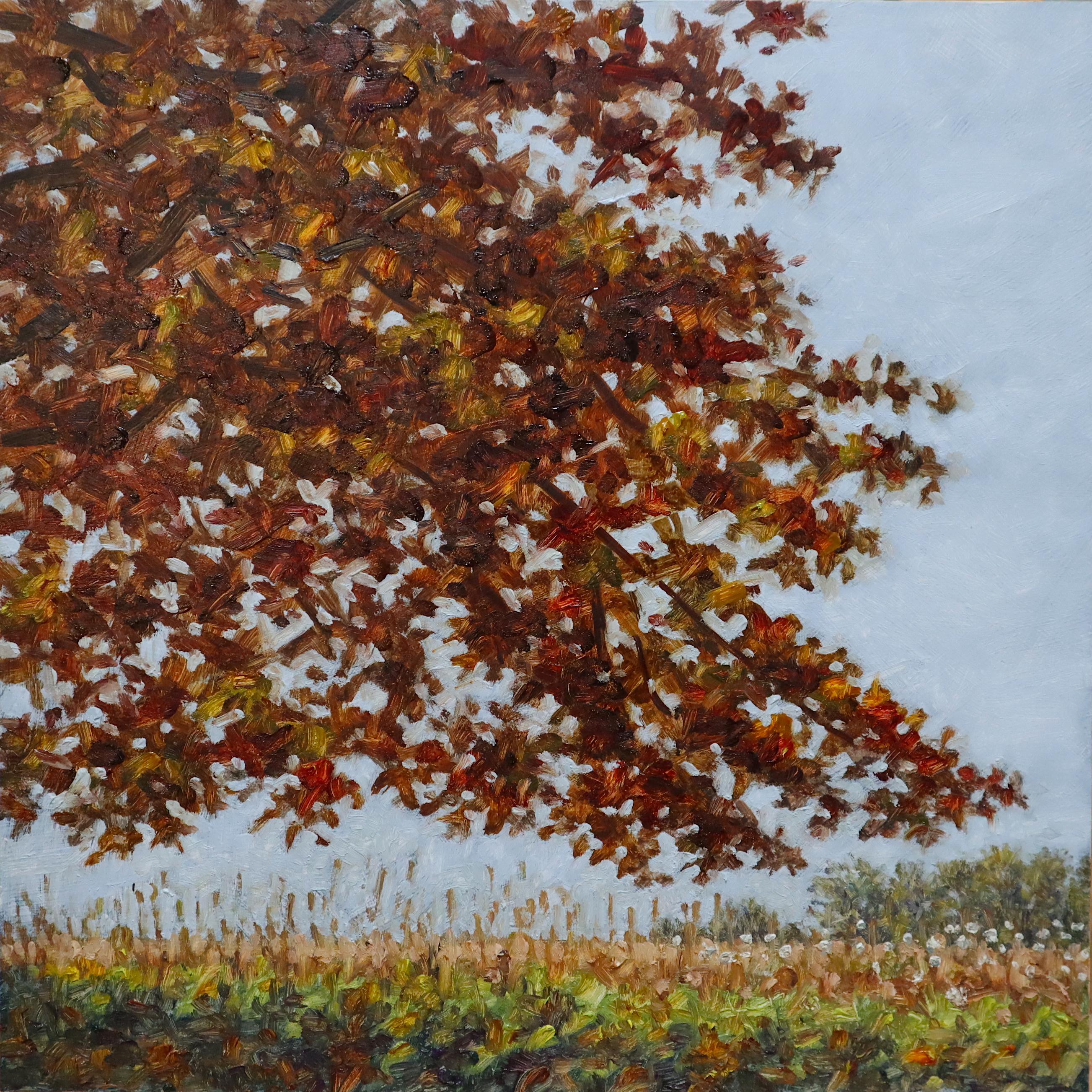 Thomas Sarrantonio Landscape Painting - Field Painting November 5 2020, Golden Dark Red Fall Tree, Autumn, Burgundy