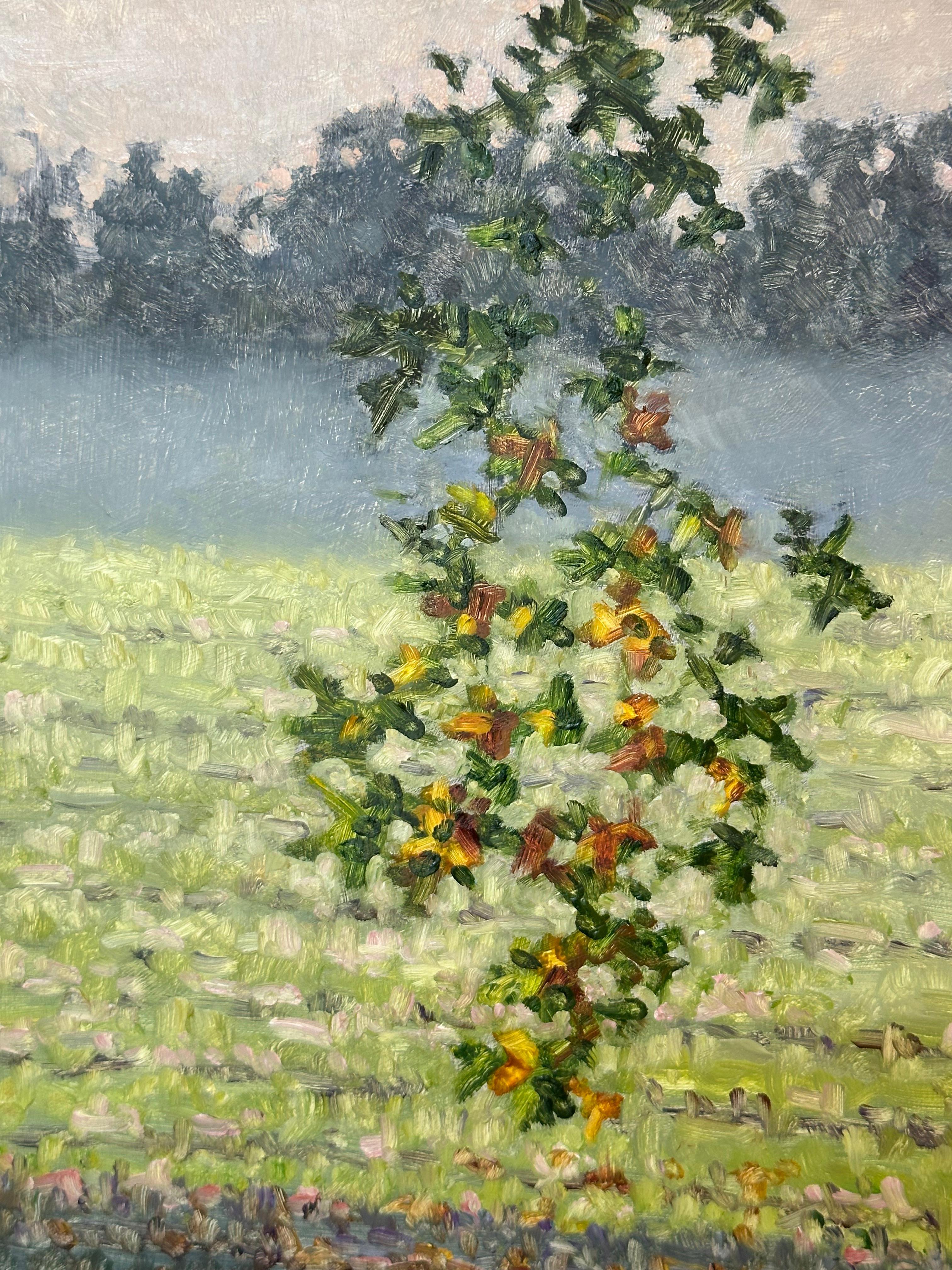 En este paisaje contemporáneo pintado al óleo sobre tabla, se desarrolla una apacible escena otoñal, que capta maravillosamente la idílica sensación del árbol suspendido sobre un campo de flores silvestres a mediados de octubre. Firmado, fechado y