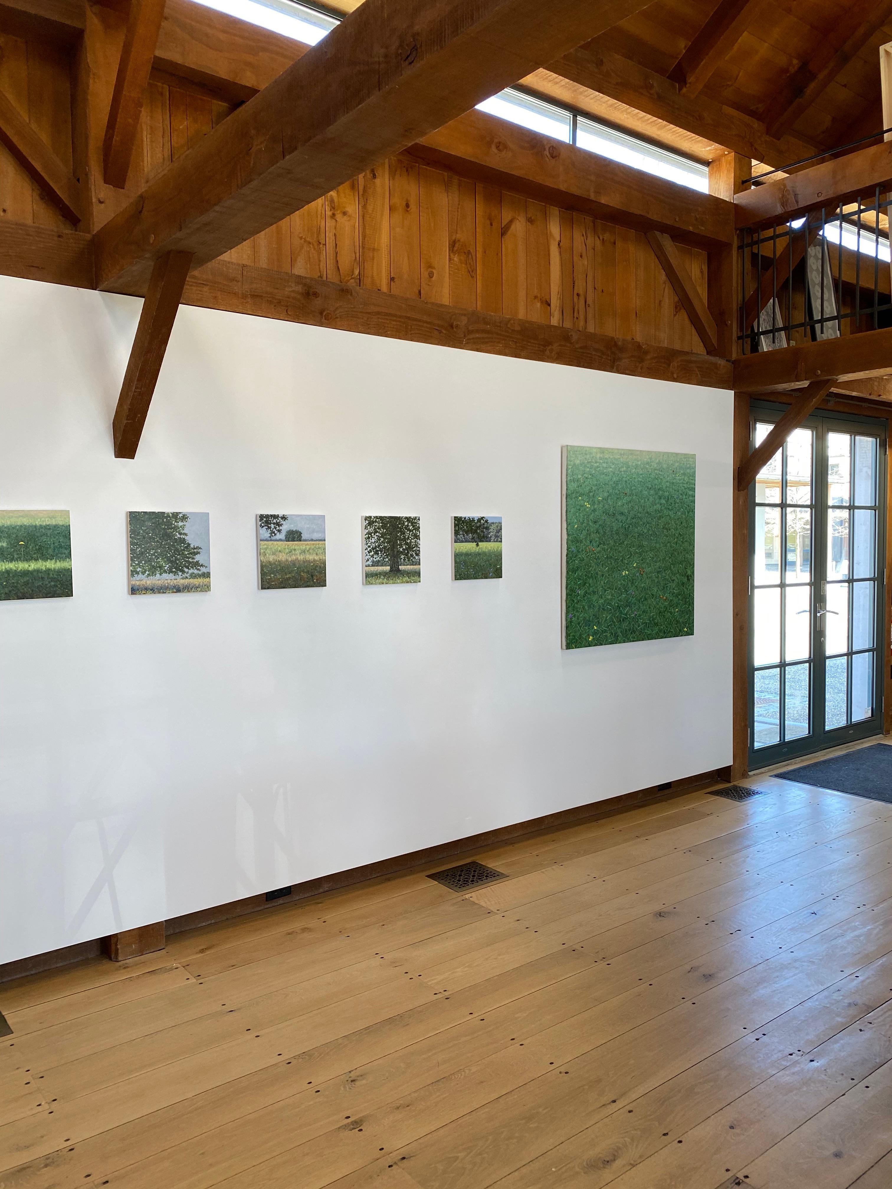Field Painting September 18 - Wildblumen Gelb Grünes Gras Landschaft, 2020 (Schwarz), Landscape Painting, von Thomas Sarrantonio