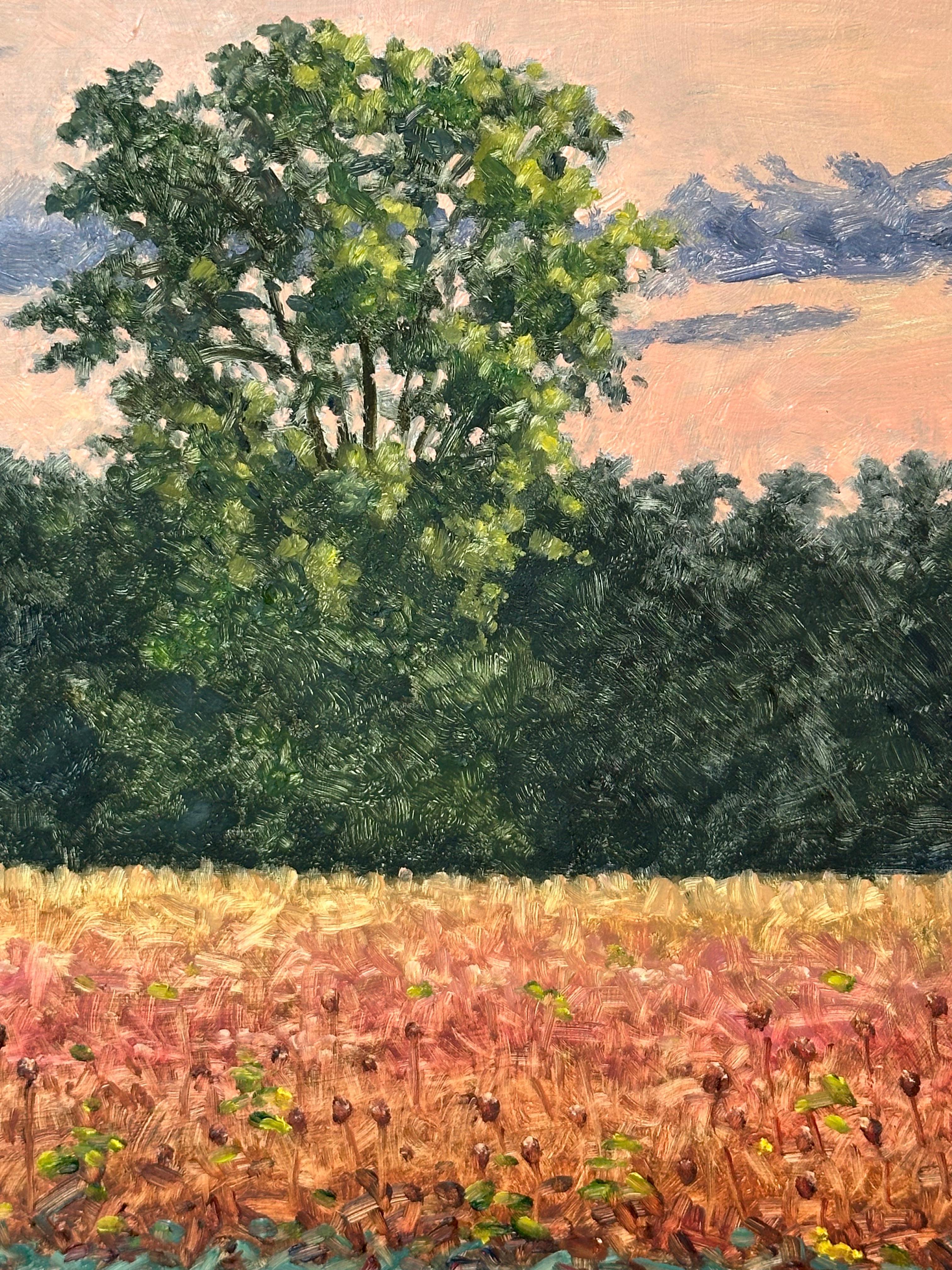 Field Painting September 19 - Contemporary Landscape Oil Painting Autumn, 2023 For Sale 7