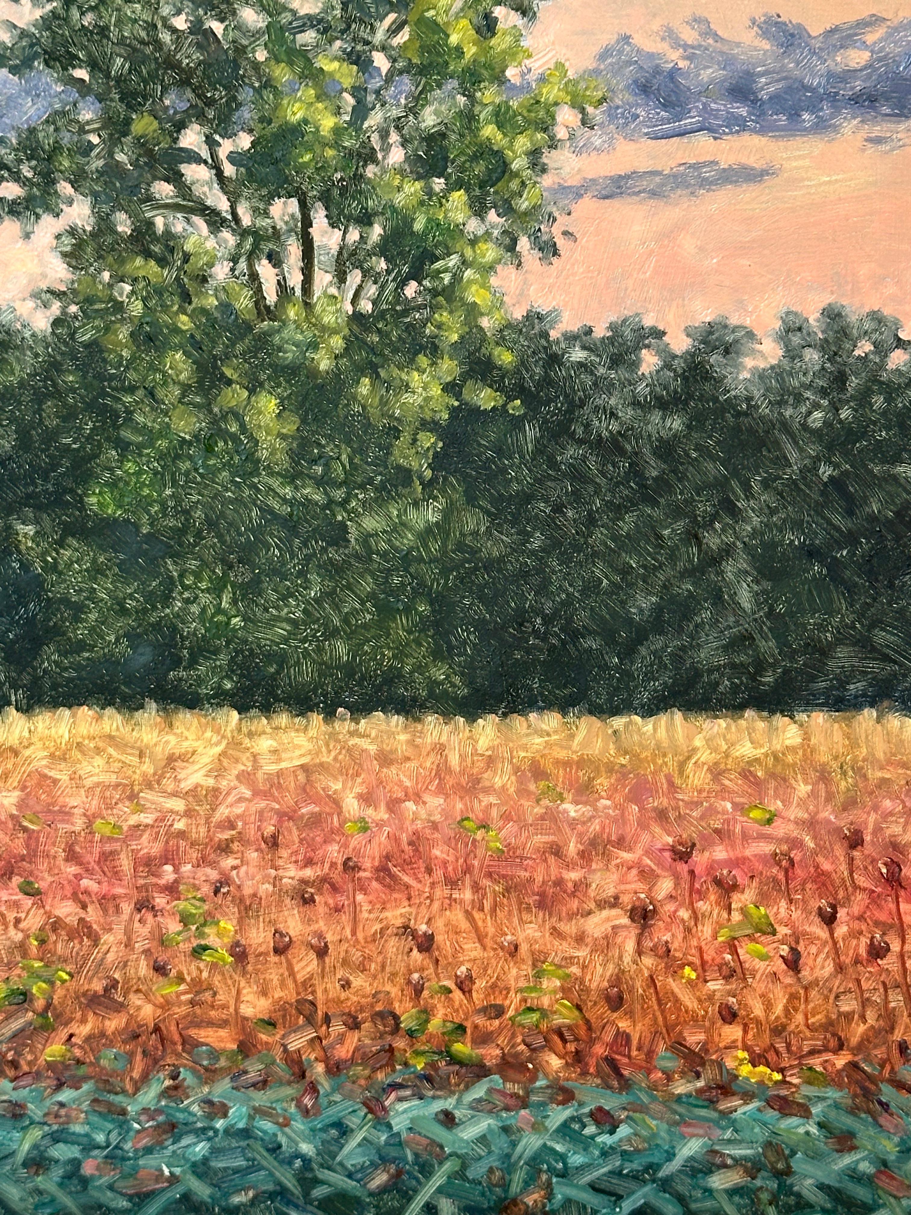 Field Painting September 19 - Contemporary Landscape Oil Painting Autumn, 2023 For Sale 8
