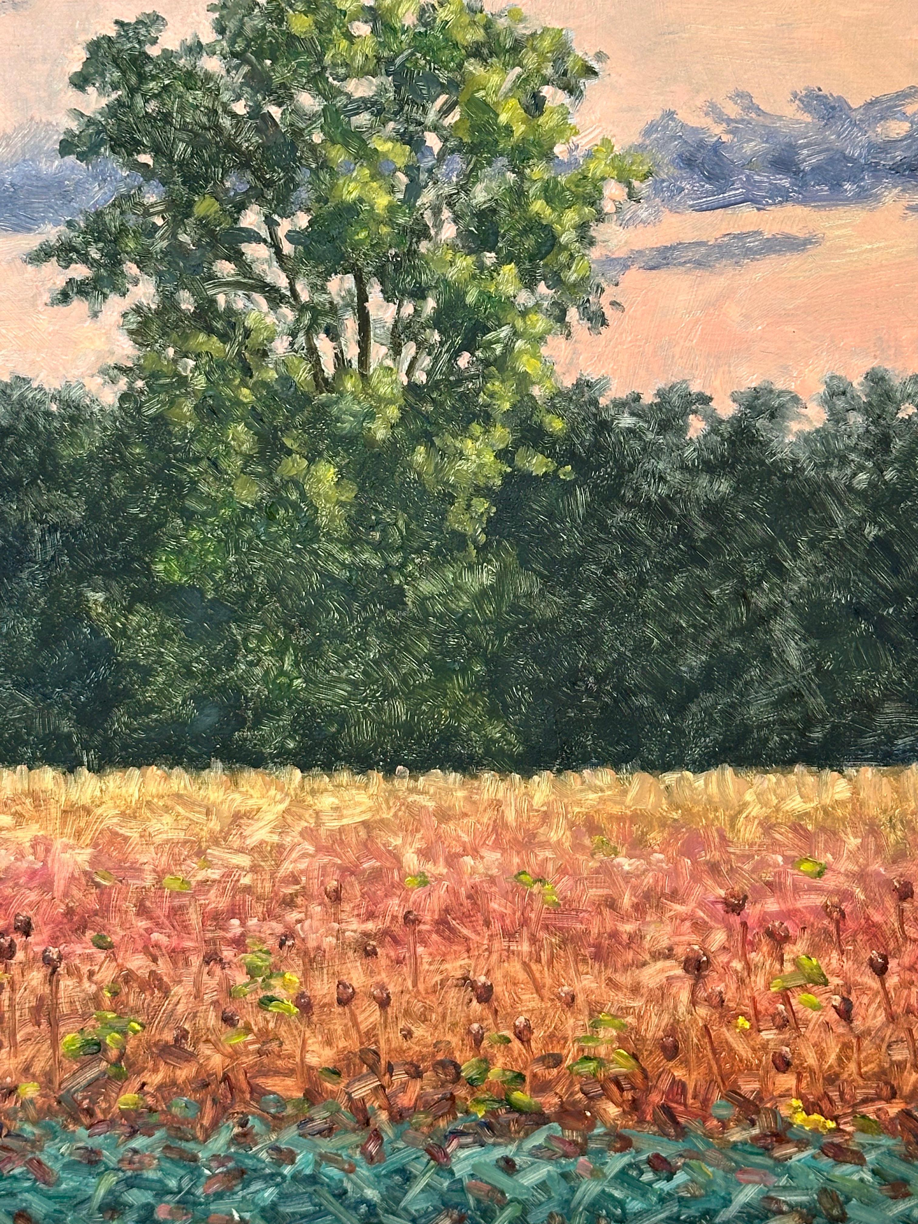 Field Painting September 19 - Contemporary Landscape Oil Painting Autumn, 2023 For Sale 1