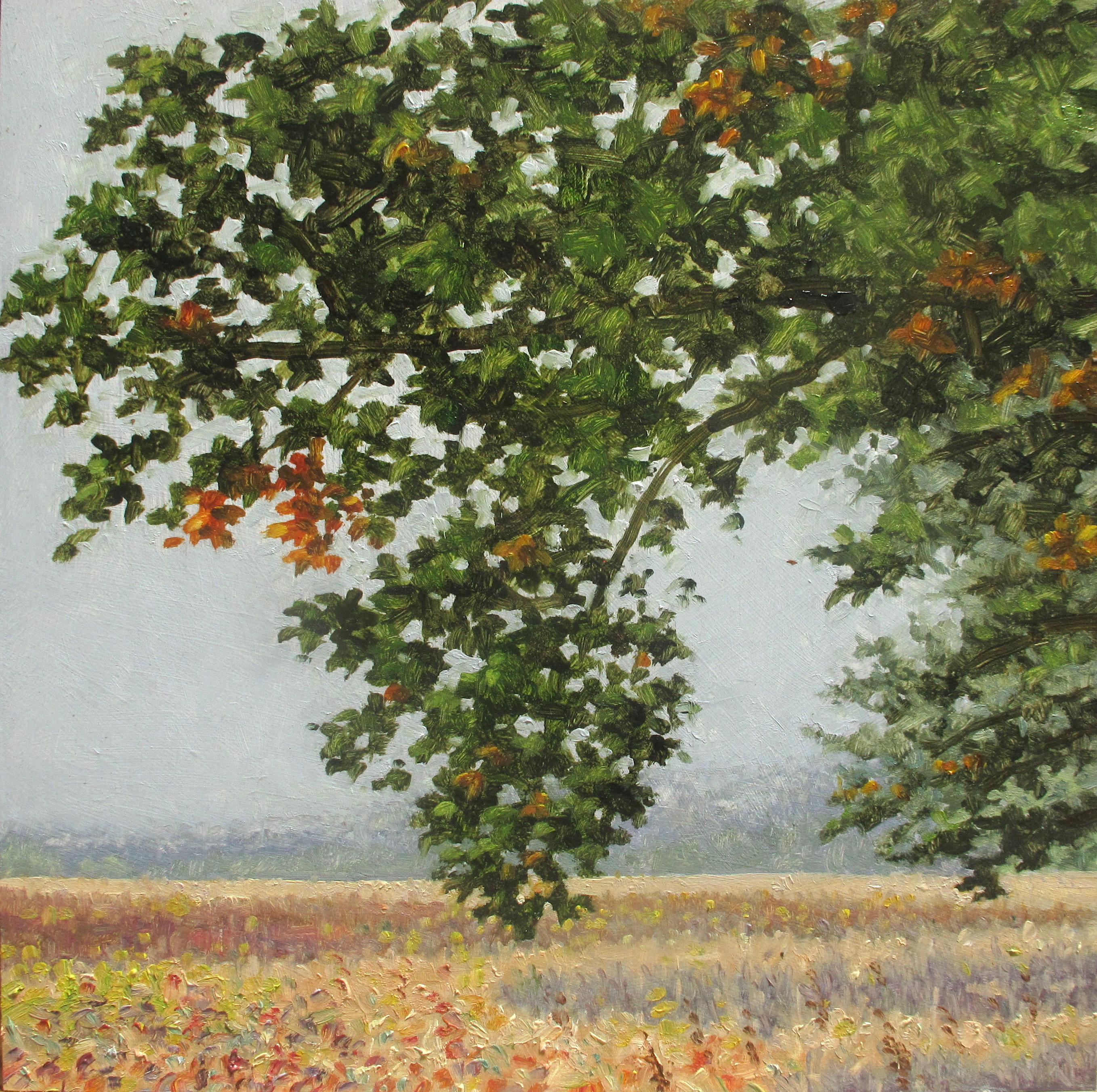 Thomas Sarrantonio Landscape Painting - Field Painting September 22 2020, Botanical, Green Tree, Golden Grass, Autumn
