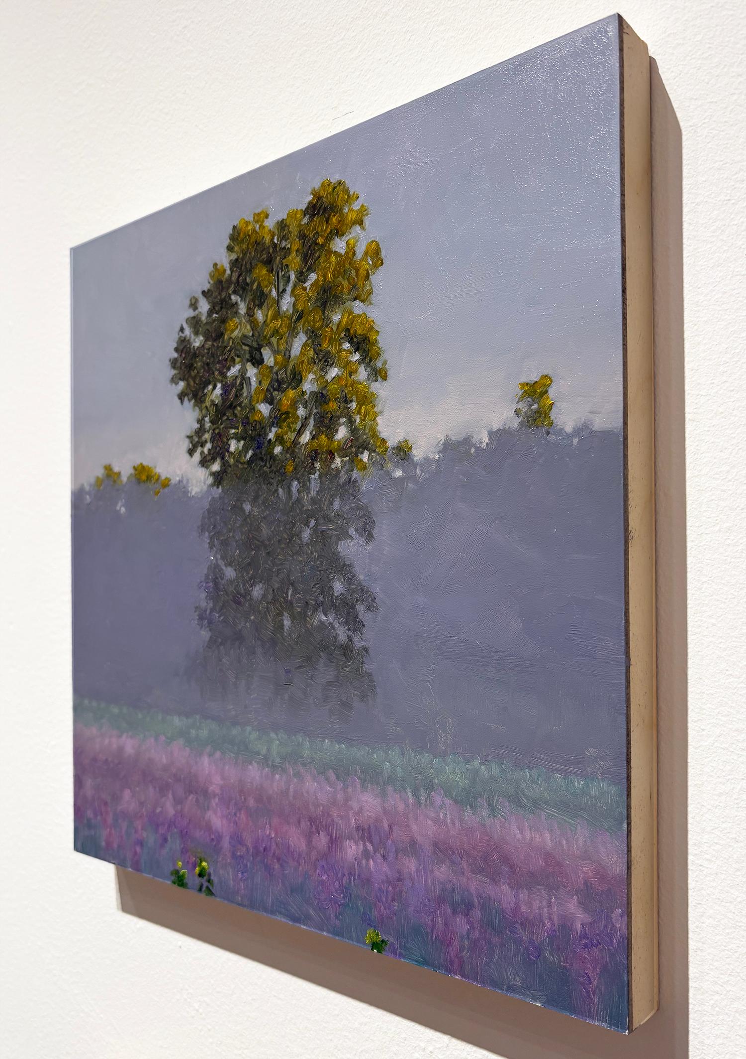 2 luglio: Paesaggio Plein Air dipinto a olio su tela con nebbia viola in estate - Painting Impressionismo di Thomas Sarrantonio