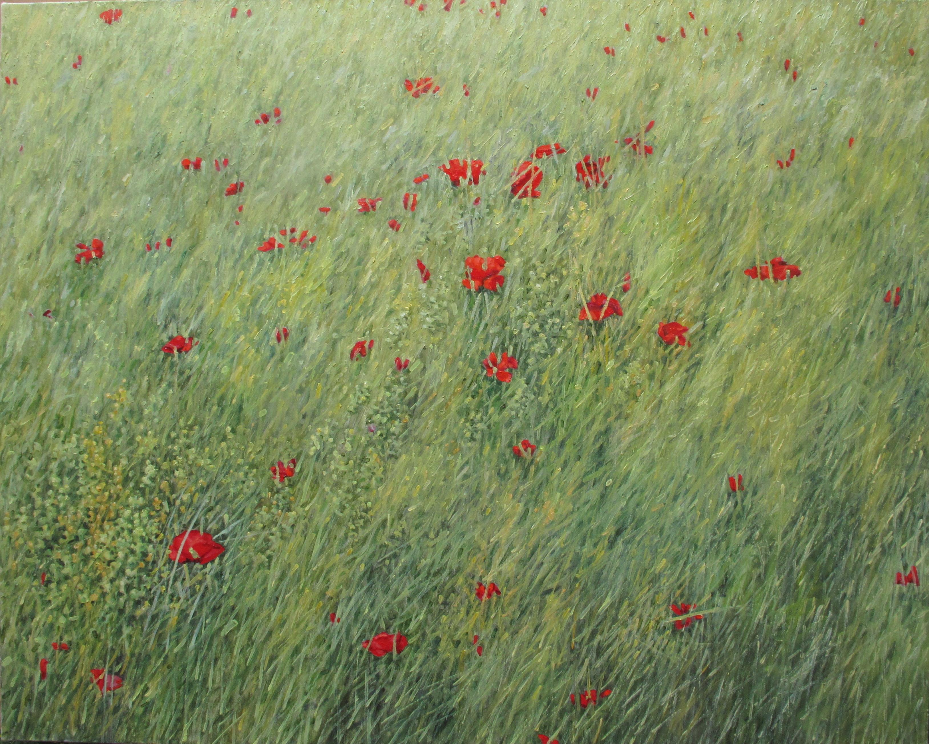 This horizontal landscape painting in oil on linen depicts a peaceful outdoor scene of delicately painted red flowers in a green grassy field, beautifully capturing the idyllic feel of a field of grass and wild poppies. 

Signed, dated and titled on