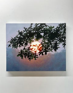 Sunrise III - Contemporary Landscape Sunset Sky Tree, 2025