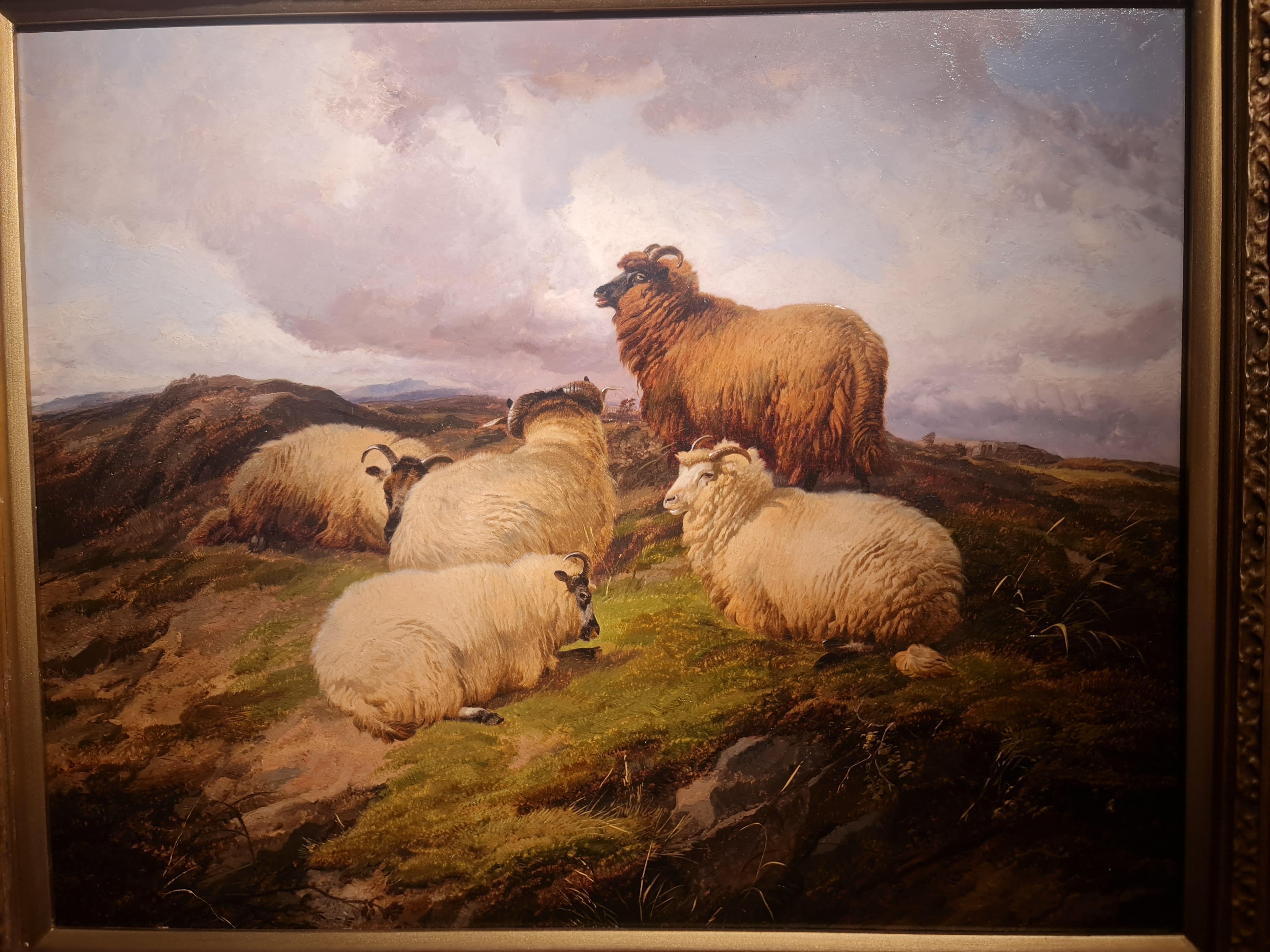 Highland Pastures For Sale 3