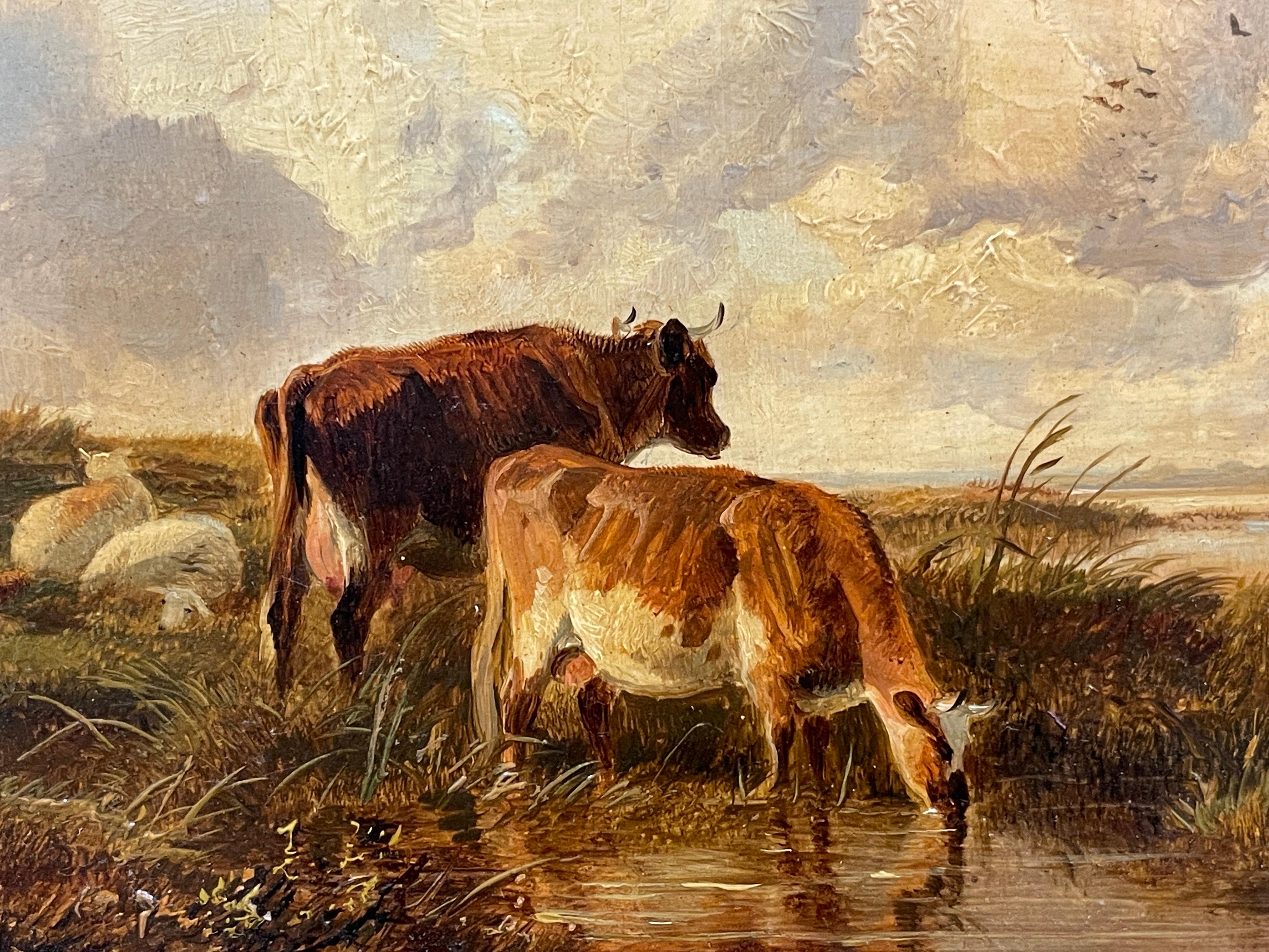 thomas sidney cooper paintings for sale