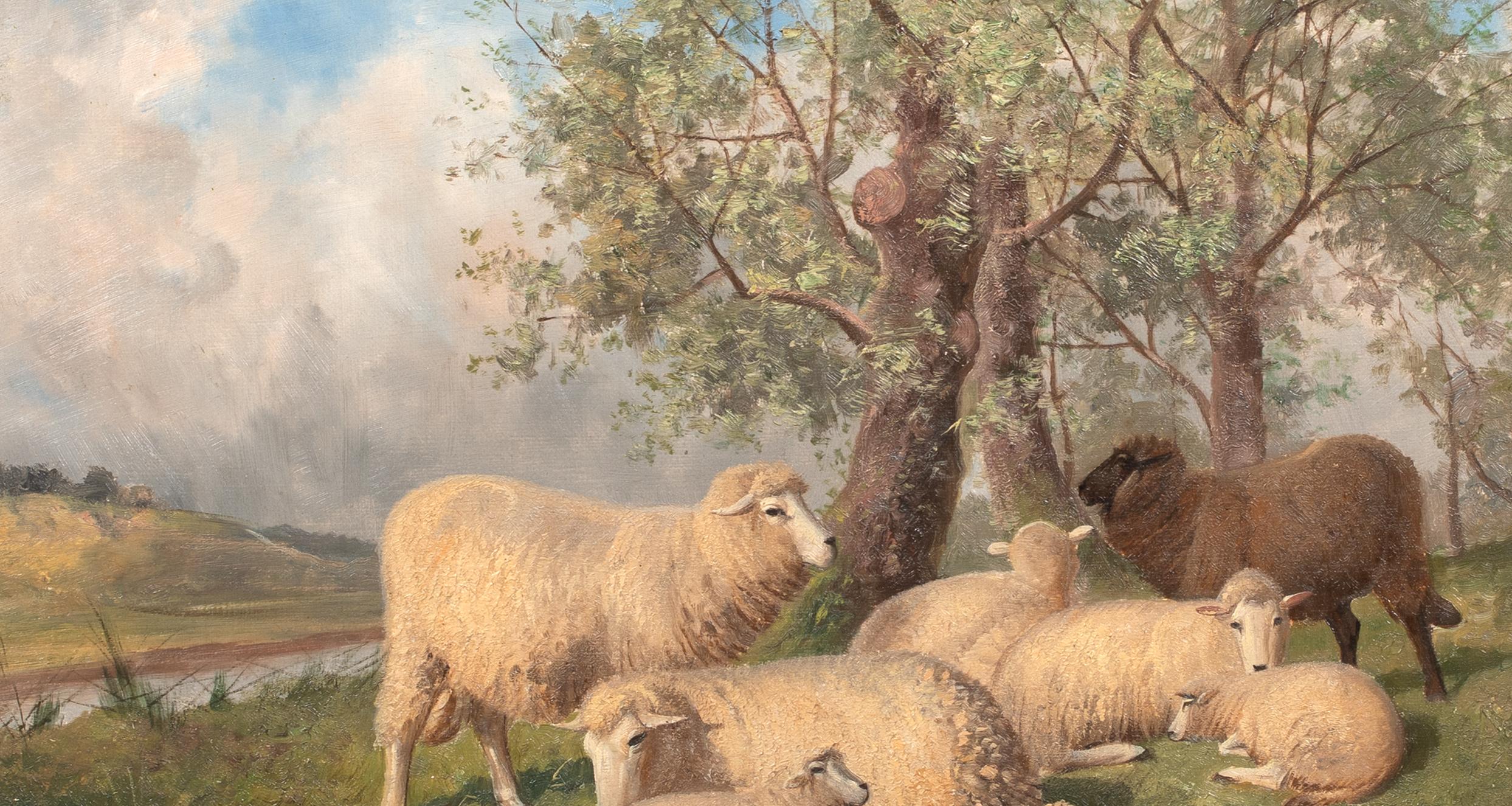 Pecora che riposa, XIX secolo  di Thomas Sidney Cooper (1803-1902) 9