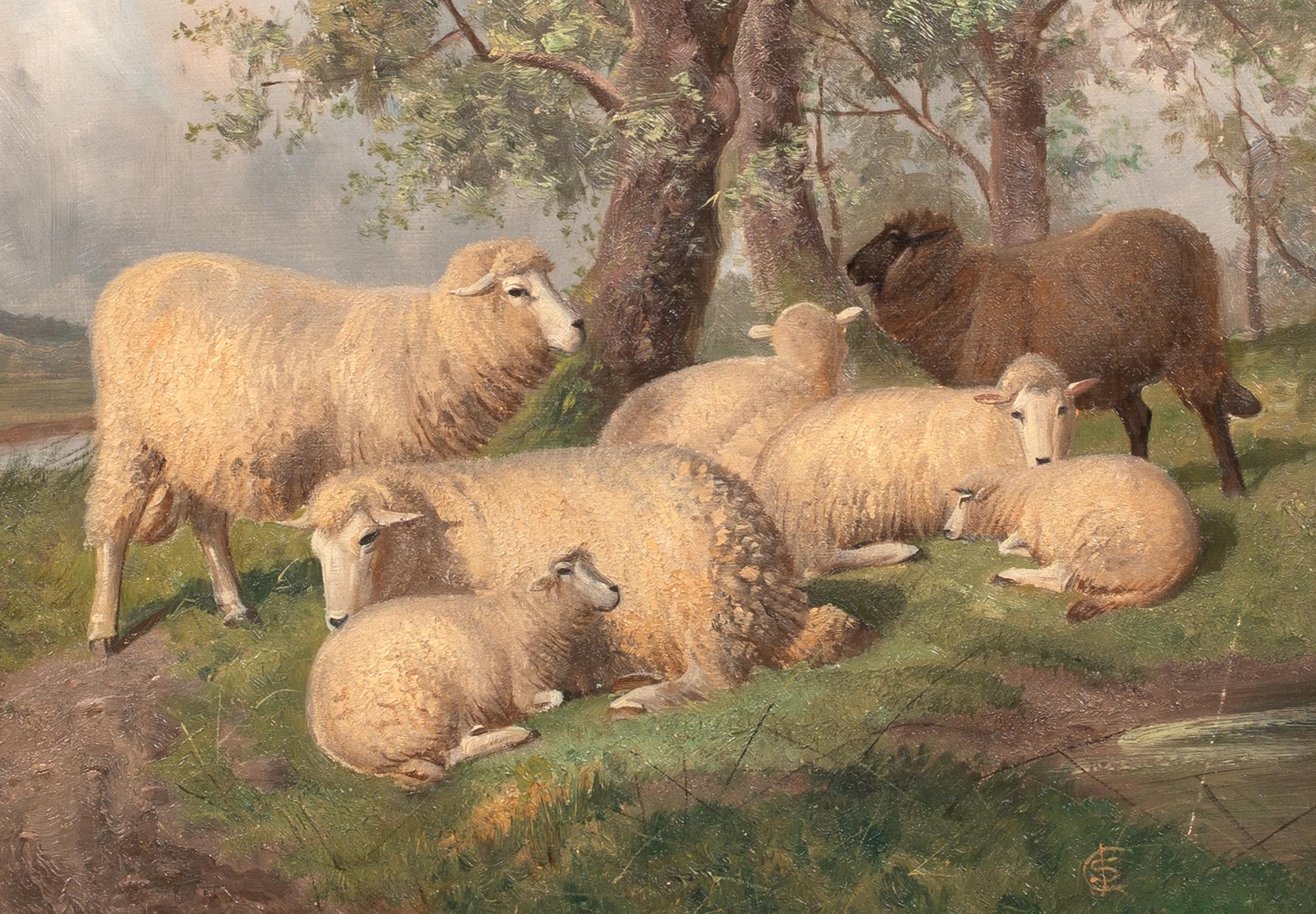 Pecora che riposa, XIX secolo  di Thomas Sidney Cooper (1803-1902) 4