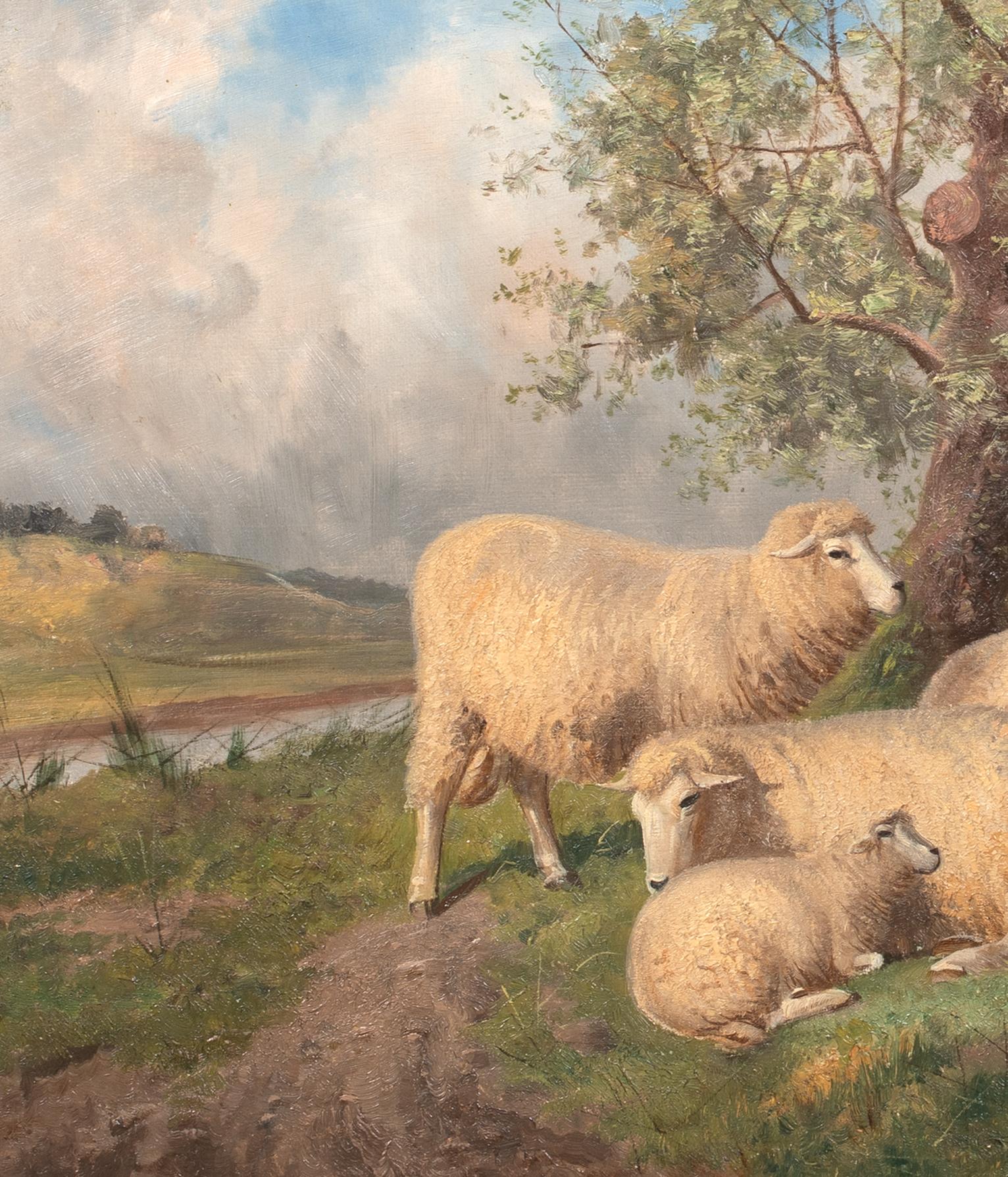 Pecora che riposa, XIX secolo  di Thomas Sidney Cooper (1803-1902) 5