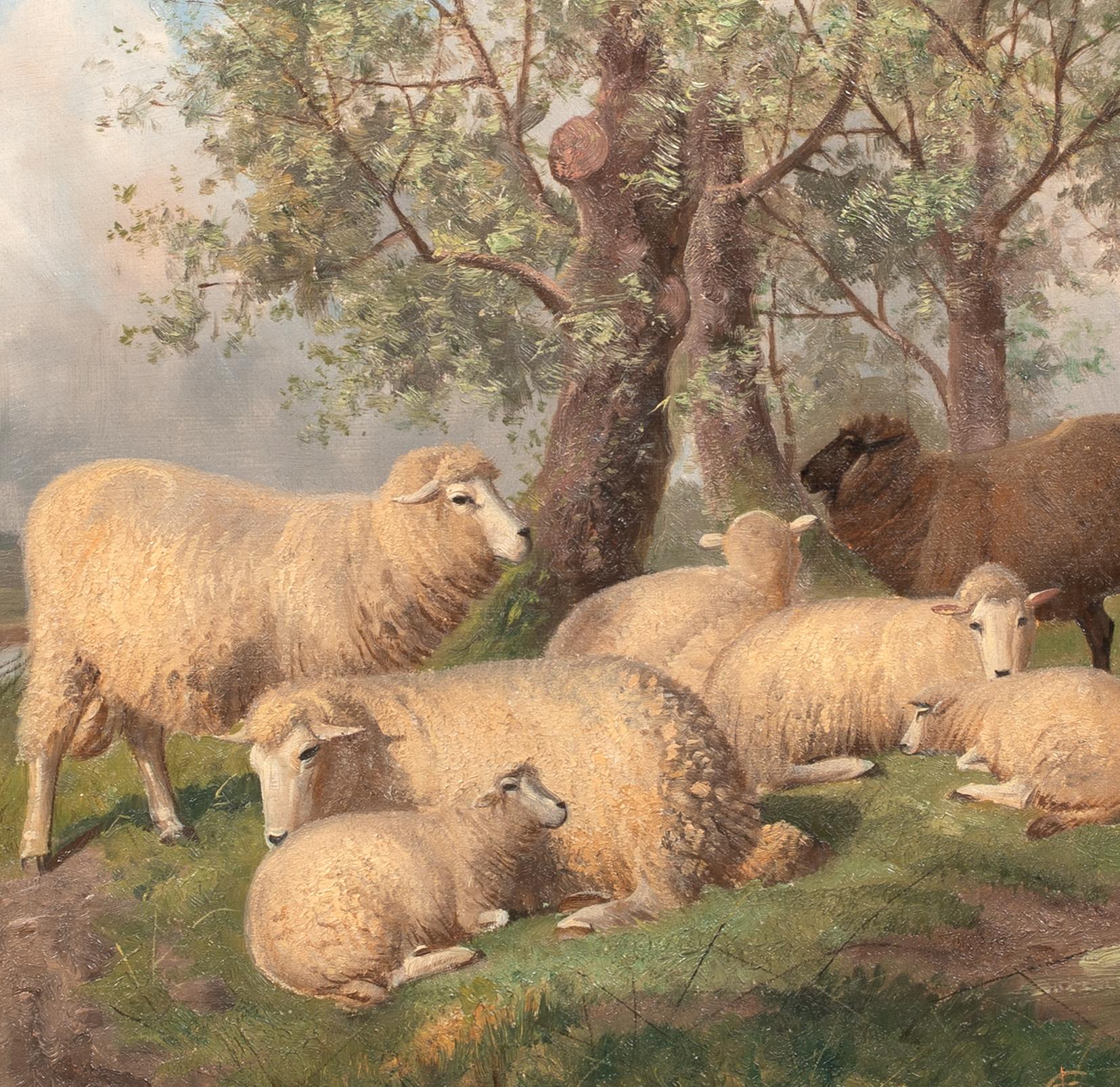 Pecora che riposa, XIX secolo  di Thomas Sidney Cooper (1803-1902) 6