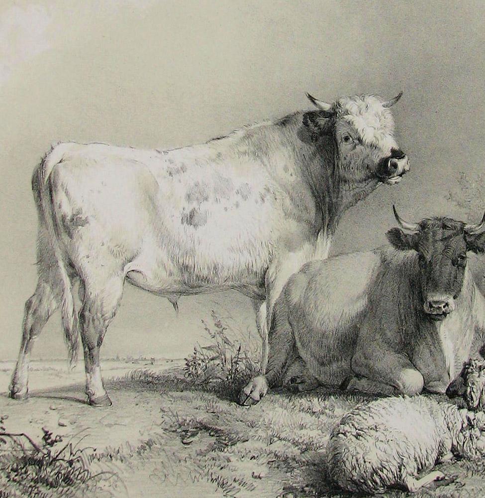 Stock, tinted lithograph of cattle and sheep, by Thomas Sydney Cooper - Print by Thomas Sidney Cooper