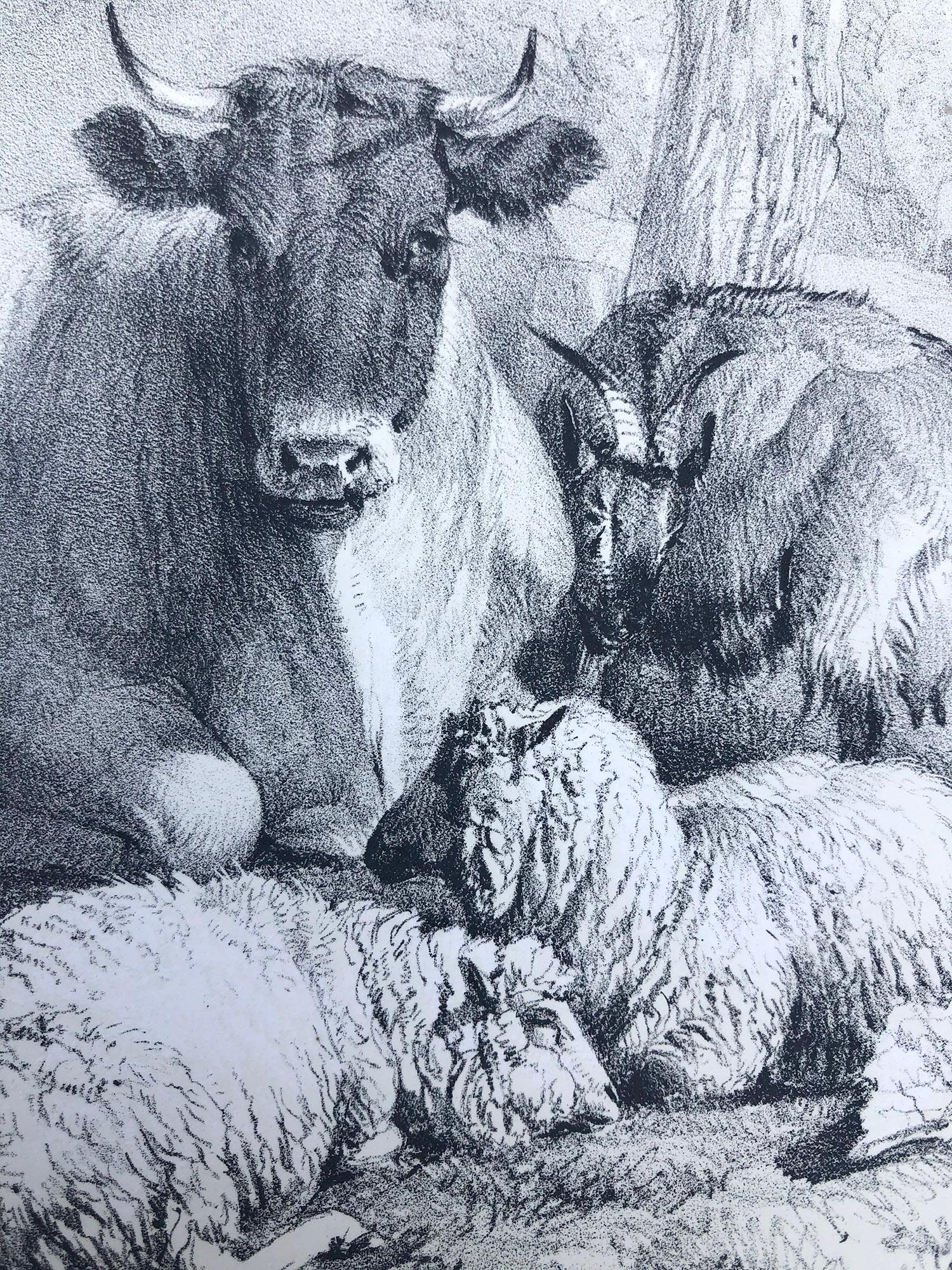 Stock, tinted lithograph of cattle and sheep, by Thomas Sydney Cooper - Gray Animal Print by Thomas Sidney Cooper